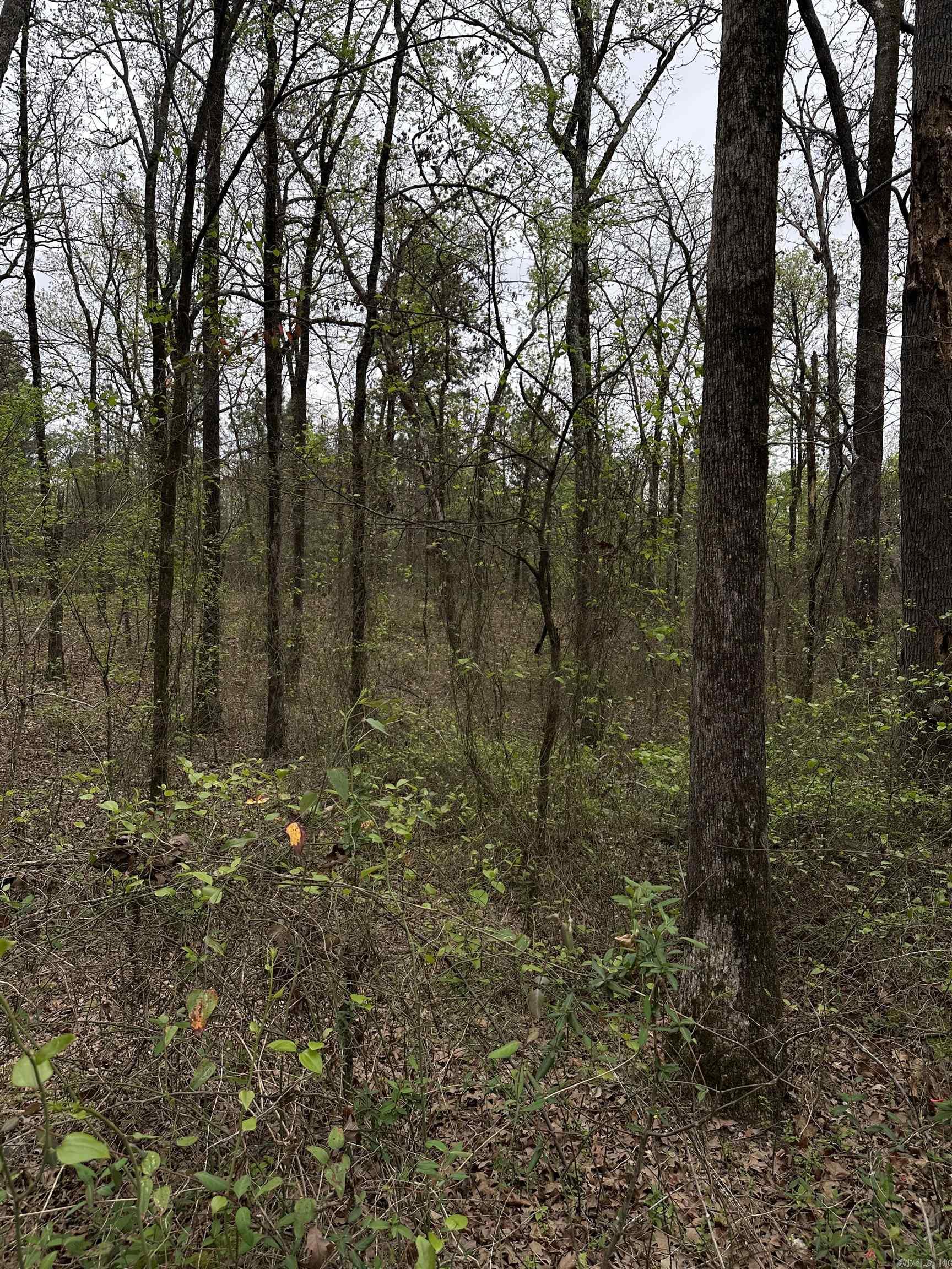 0 Julian Property Photo 8