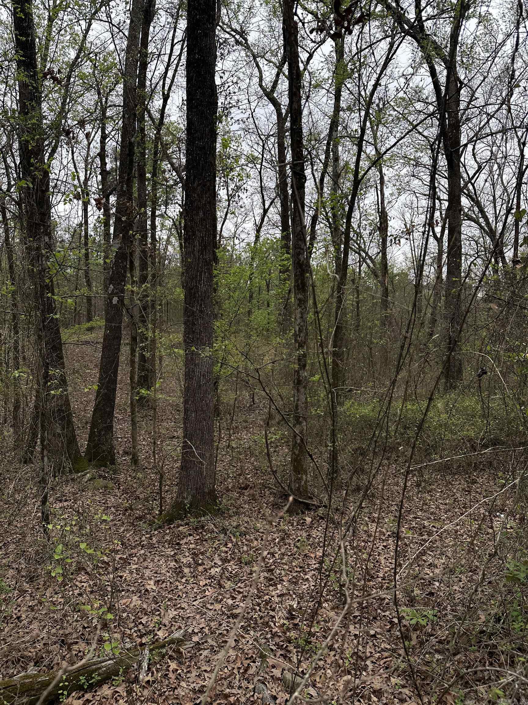 0 Julian Property Photo 10