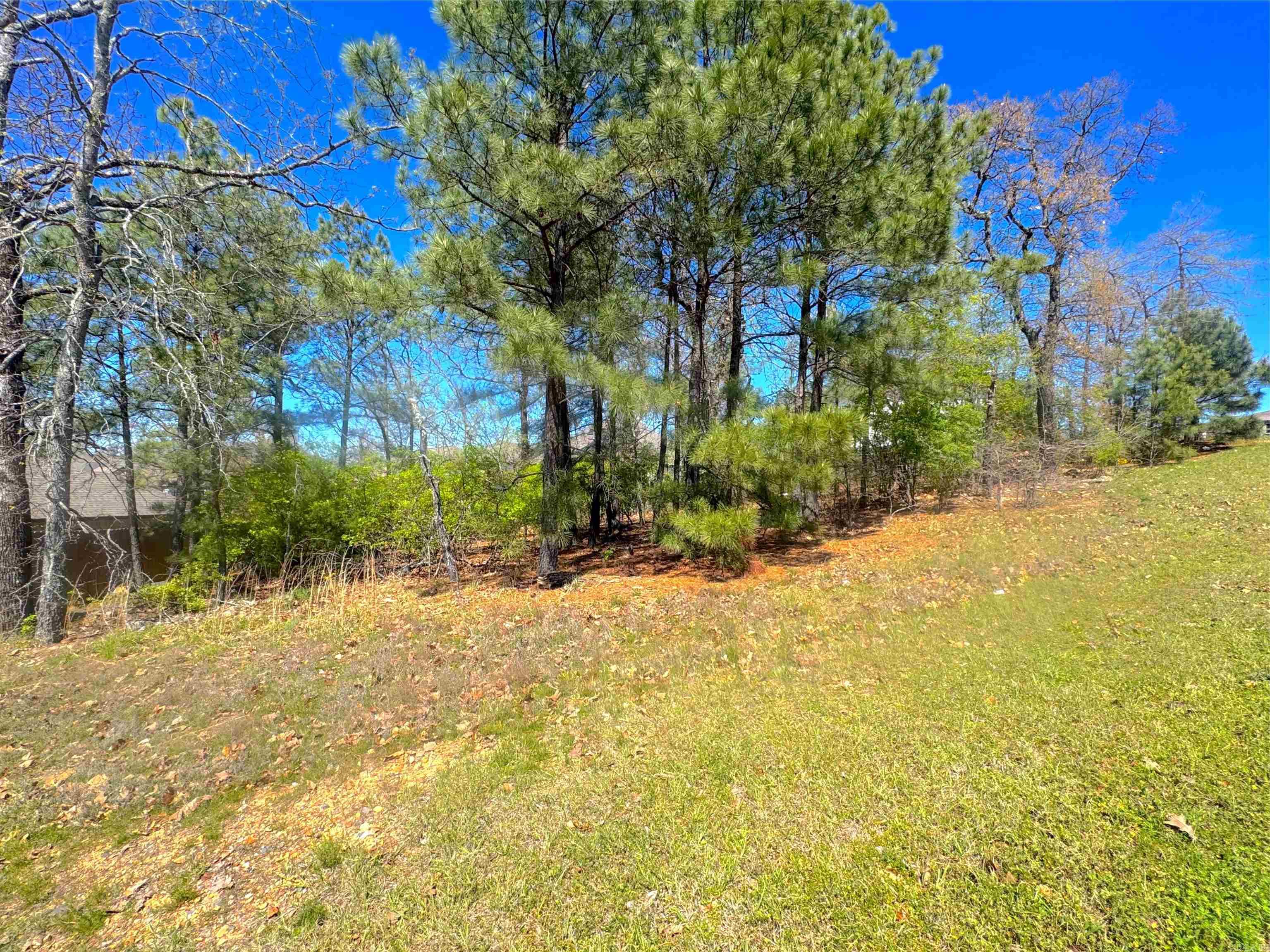 9608 Woodruff Drive Property Photo 1