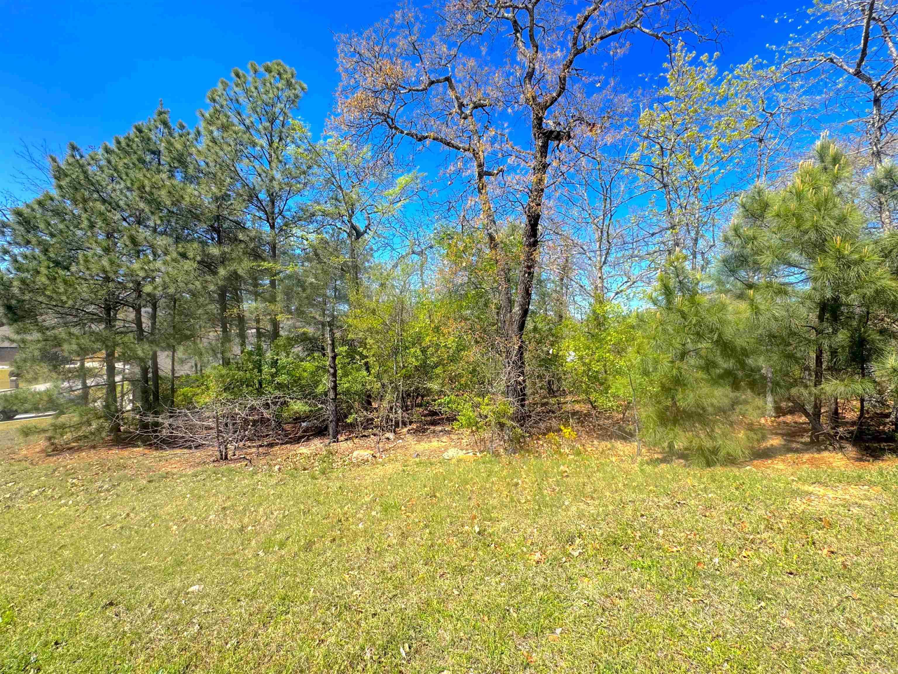 9608 Woodruff Drive Property Photo 2