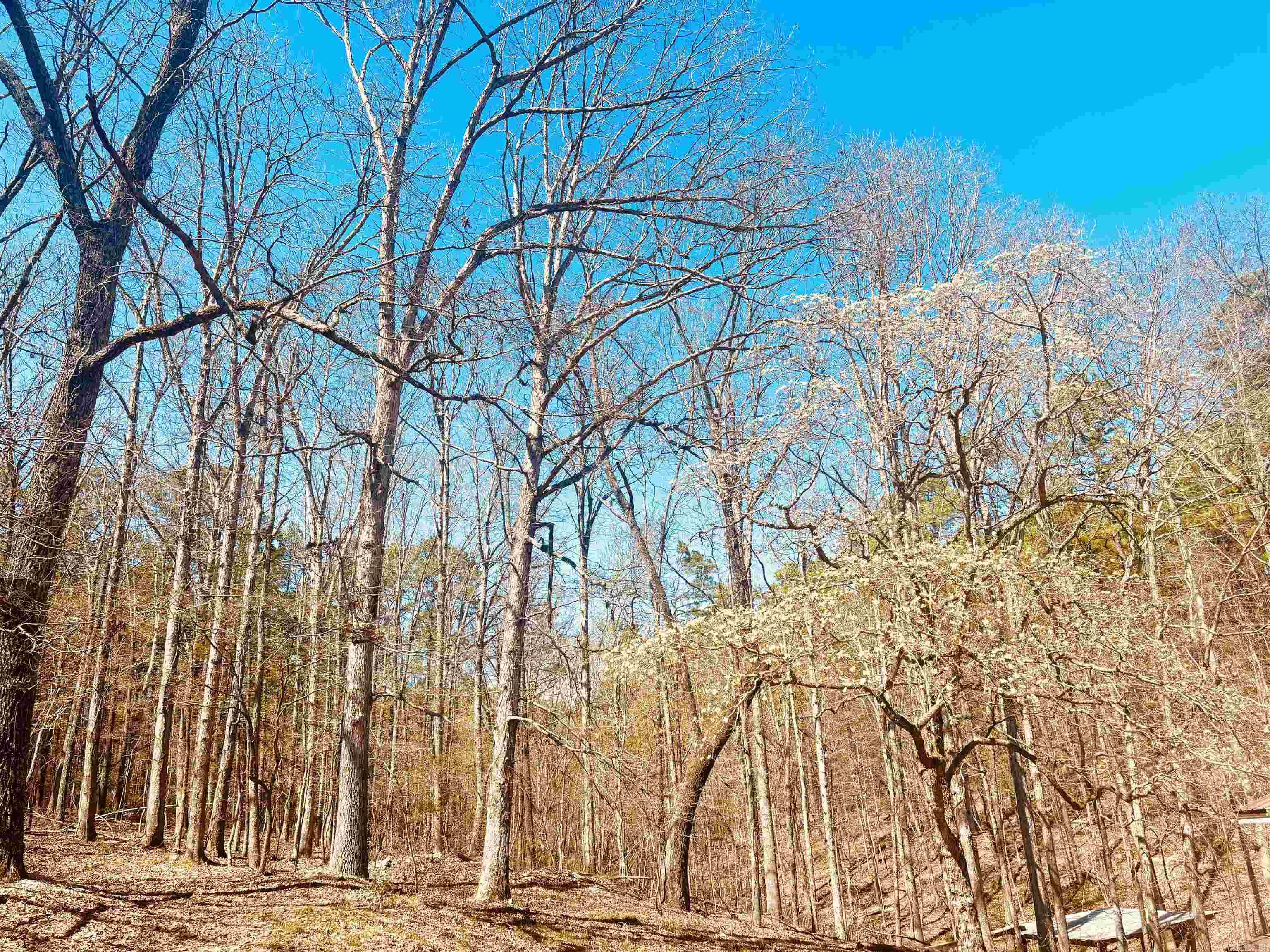6683 Roasting Ear Road Property Photo 43