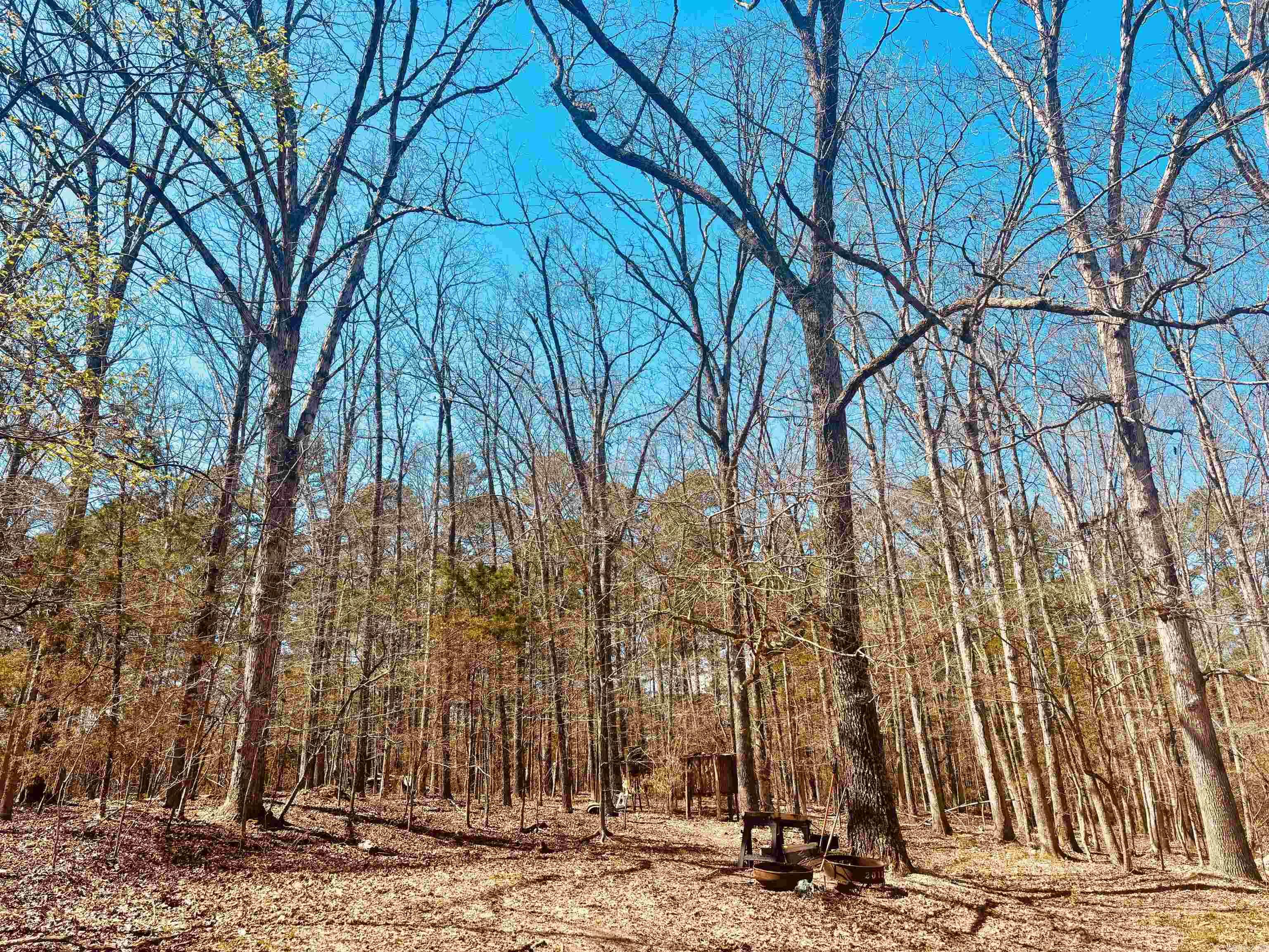 6683 Roasting Ear Road Property Photo 45