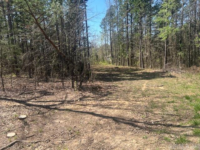 114 Coyote Canyon Road Property Photo 2