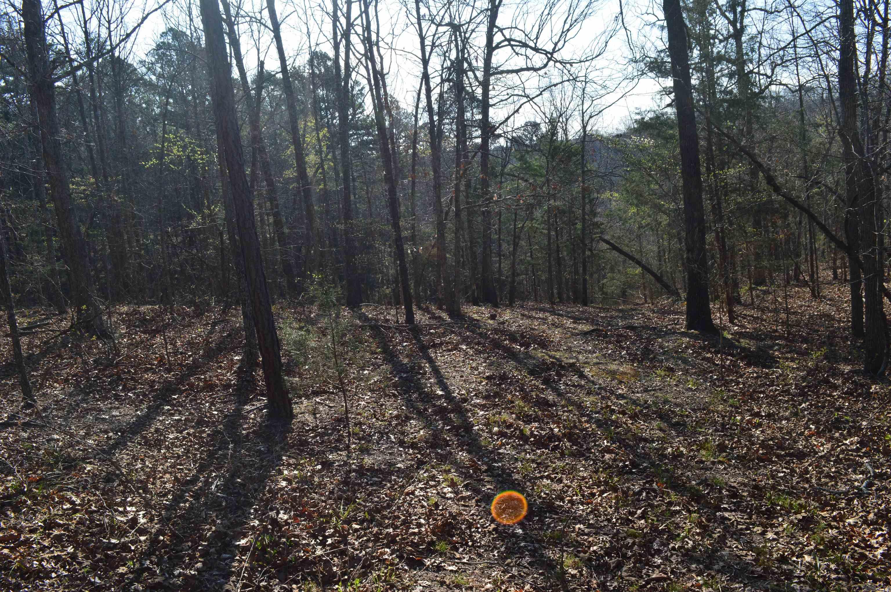 000 Schnauzer Ln Property Photo 10