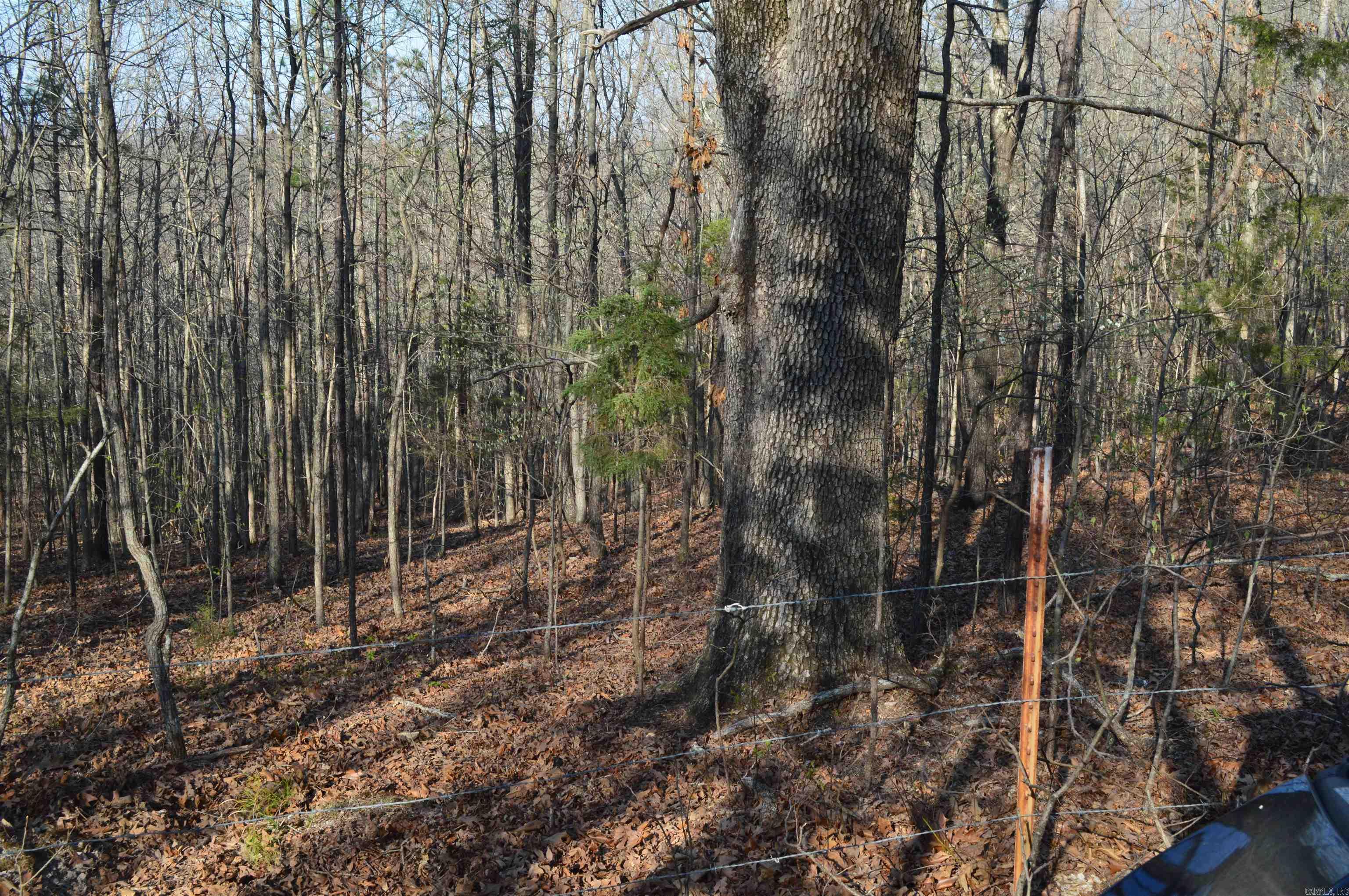 000 Schnauzer Ln Property Photo 15