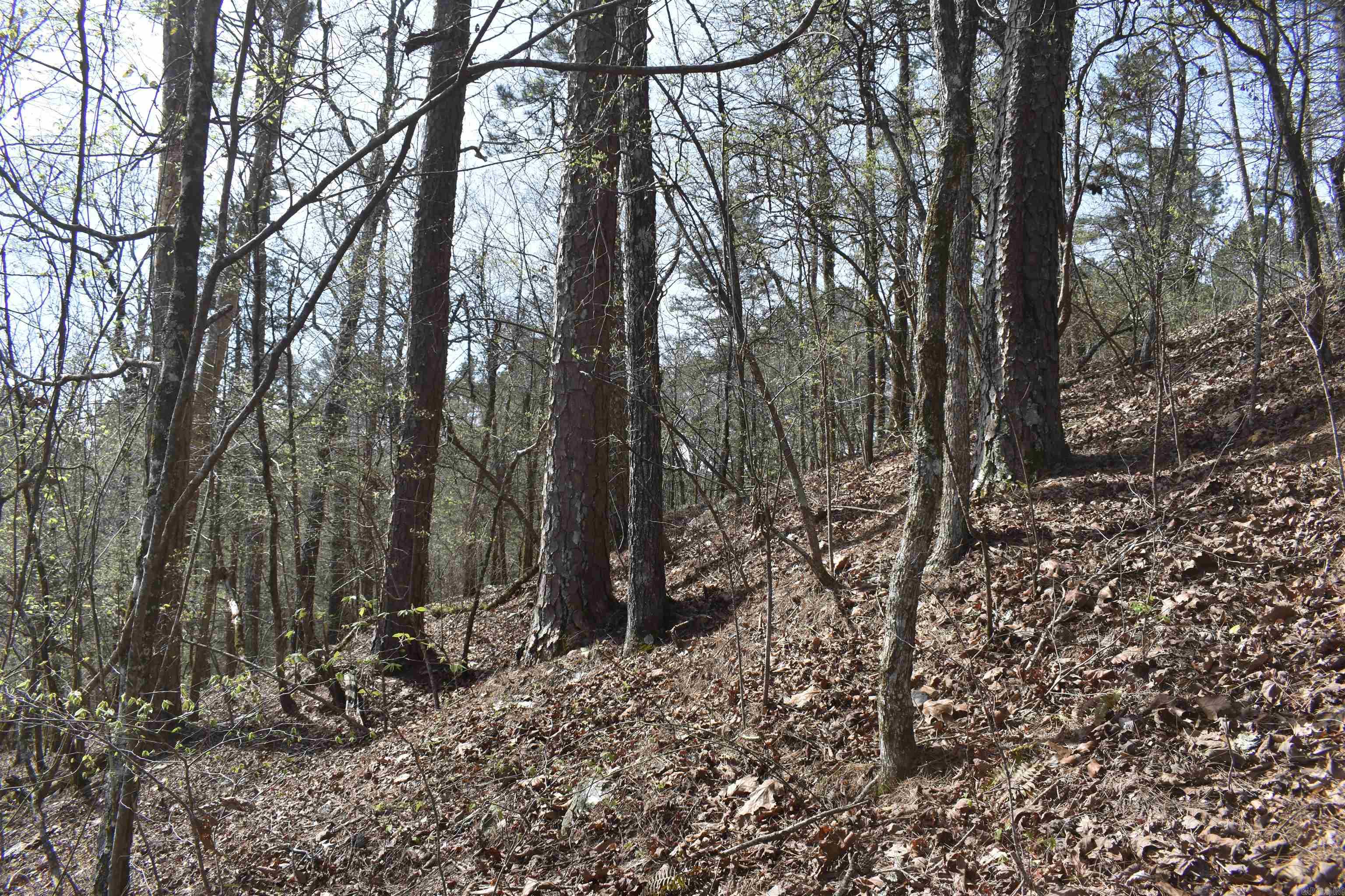0000 Old Dallas Road Property Photo 2