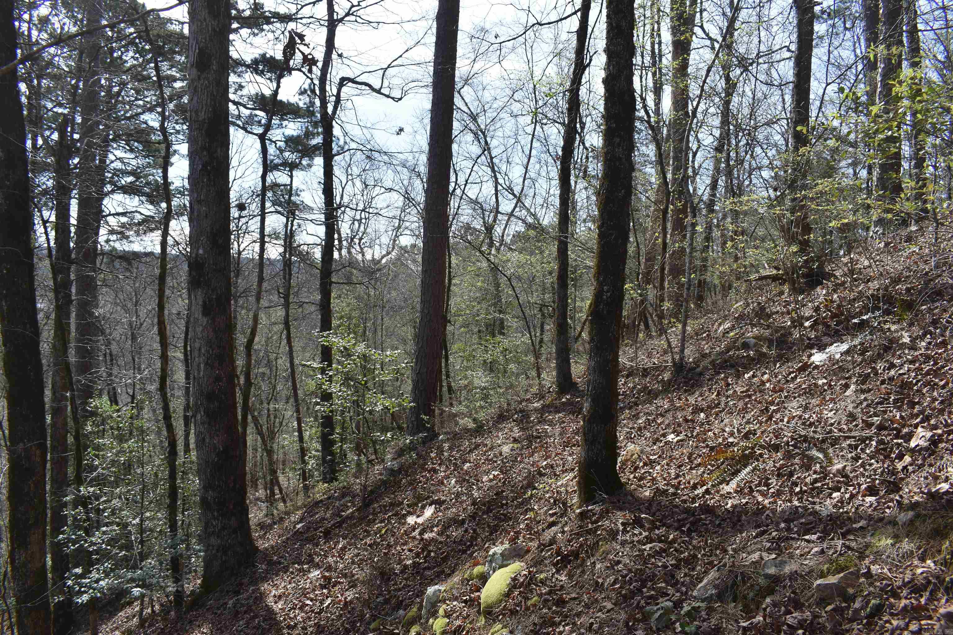 0000 Old Dallas Road Property Photo 3