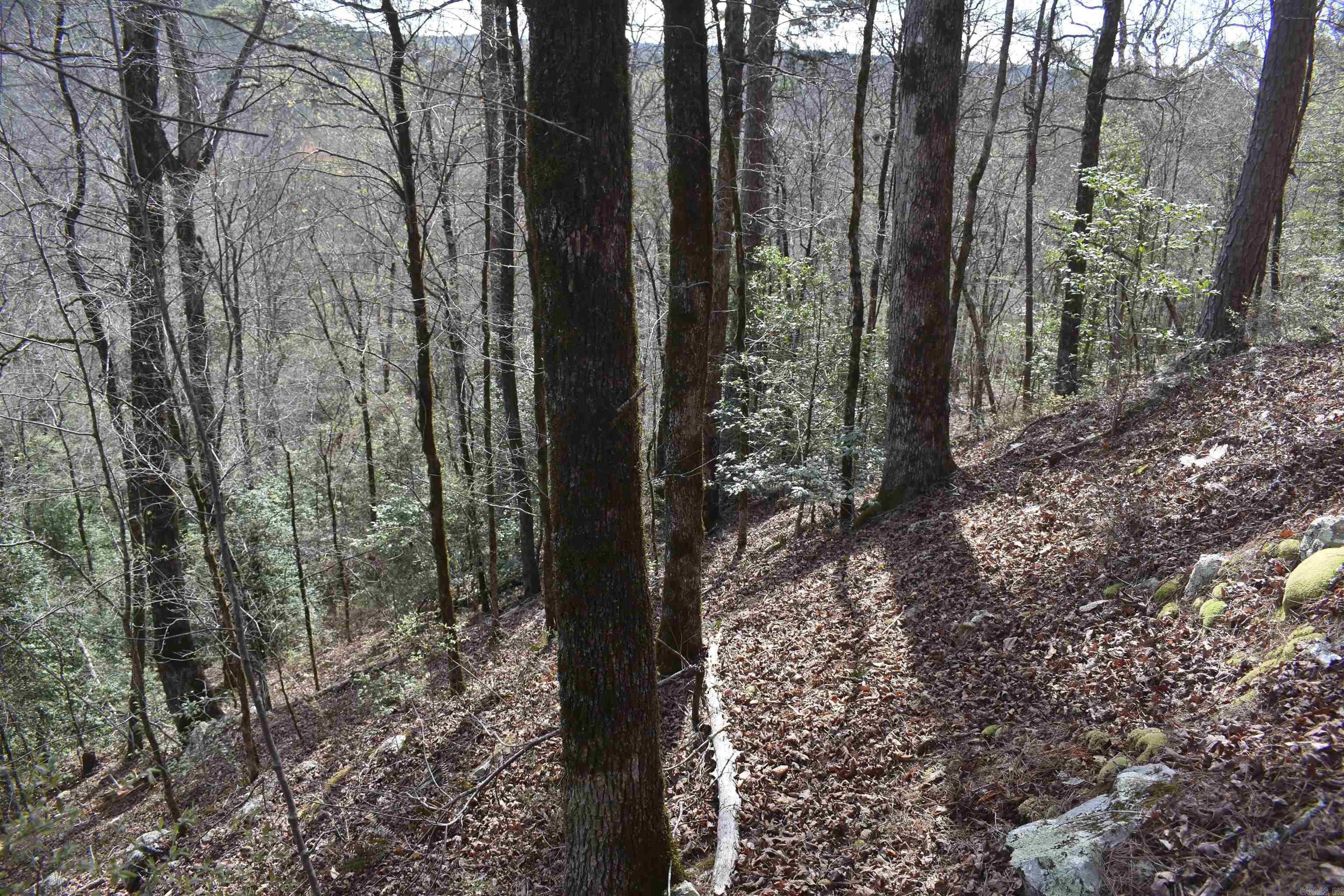 0000 Old Dallas Road Property Photo 4