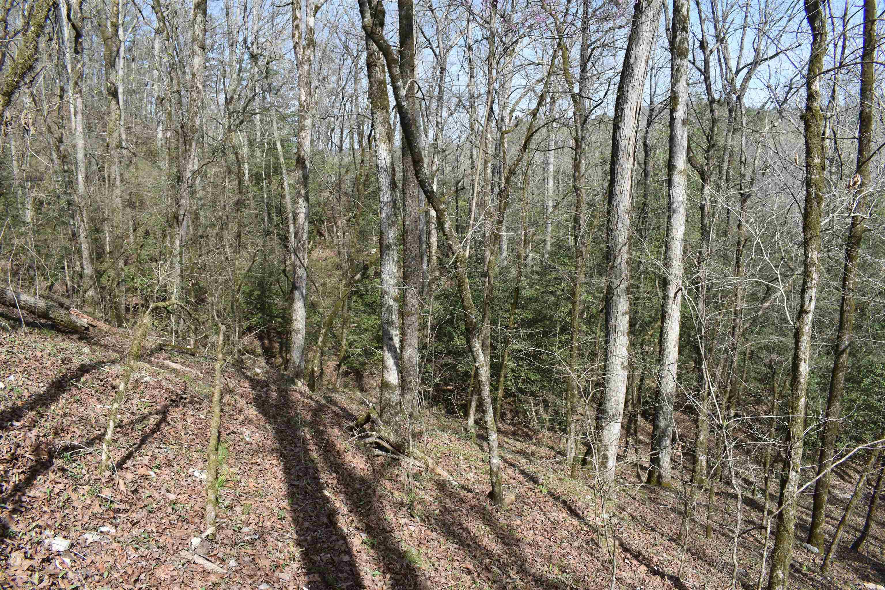 0000 Old Dallas Road Property Photo 5