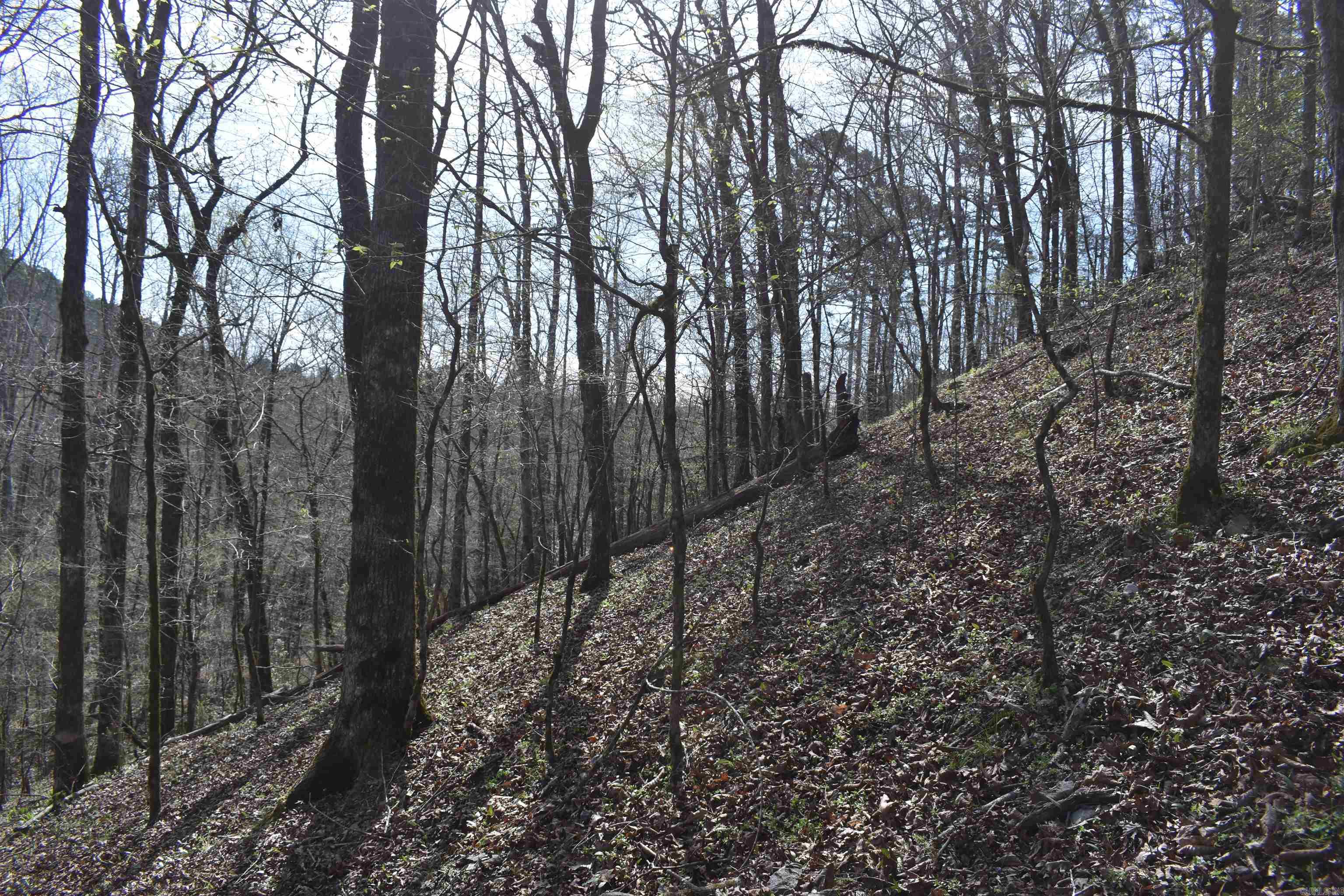 0000 Old Dallas Road Property Photo 6