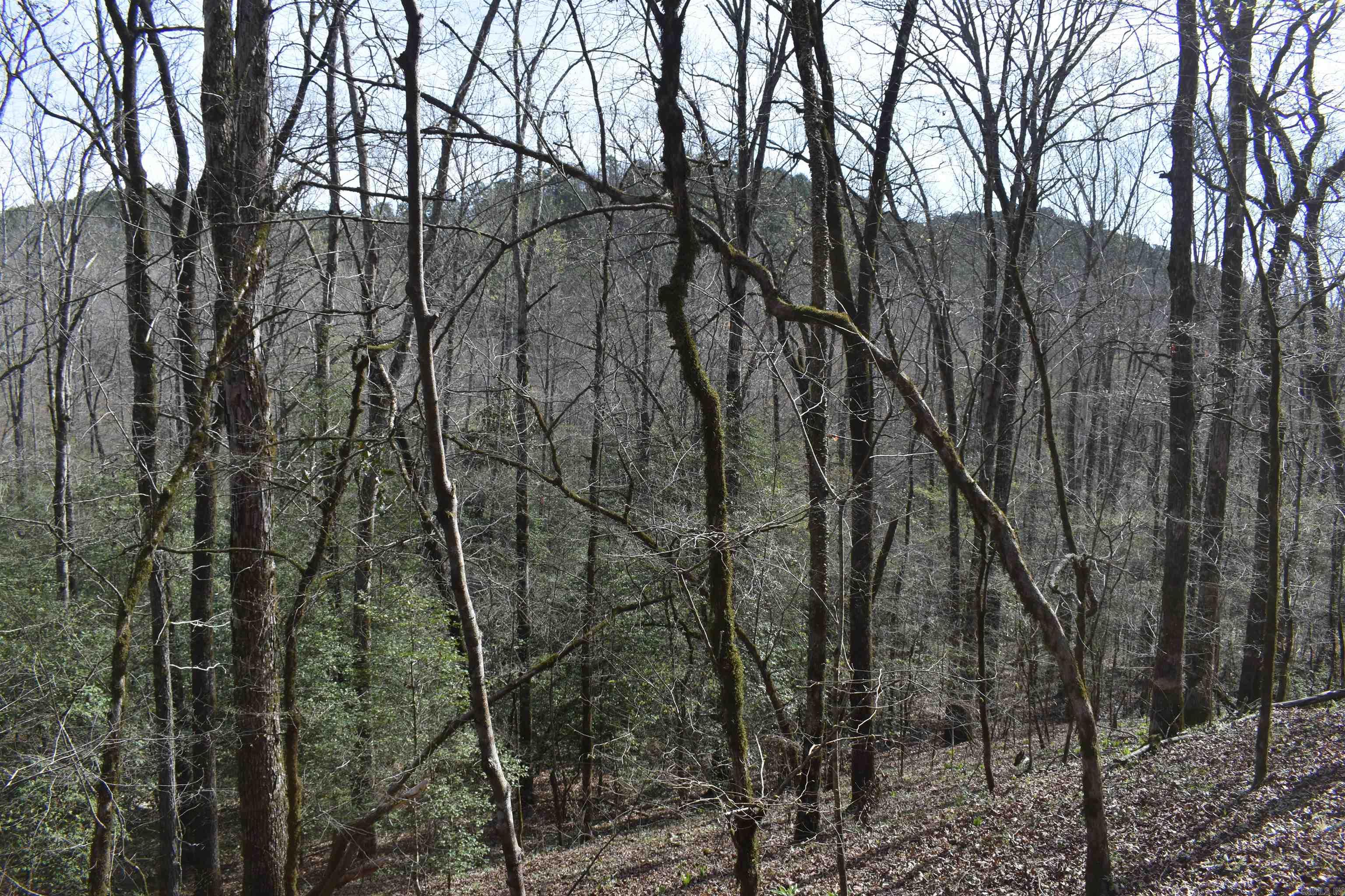 0000 Old Dallas Road Property Photo 7