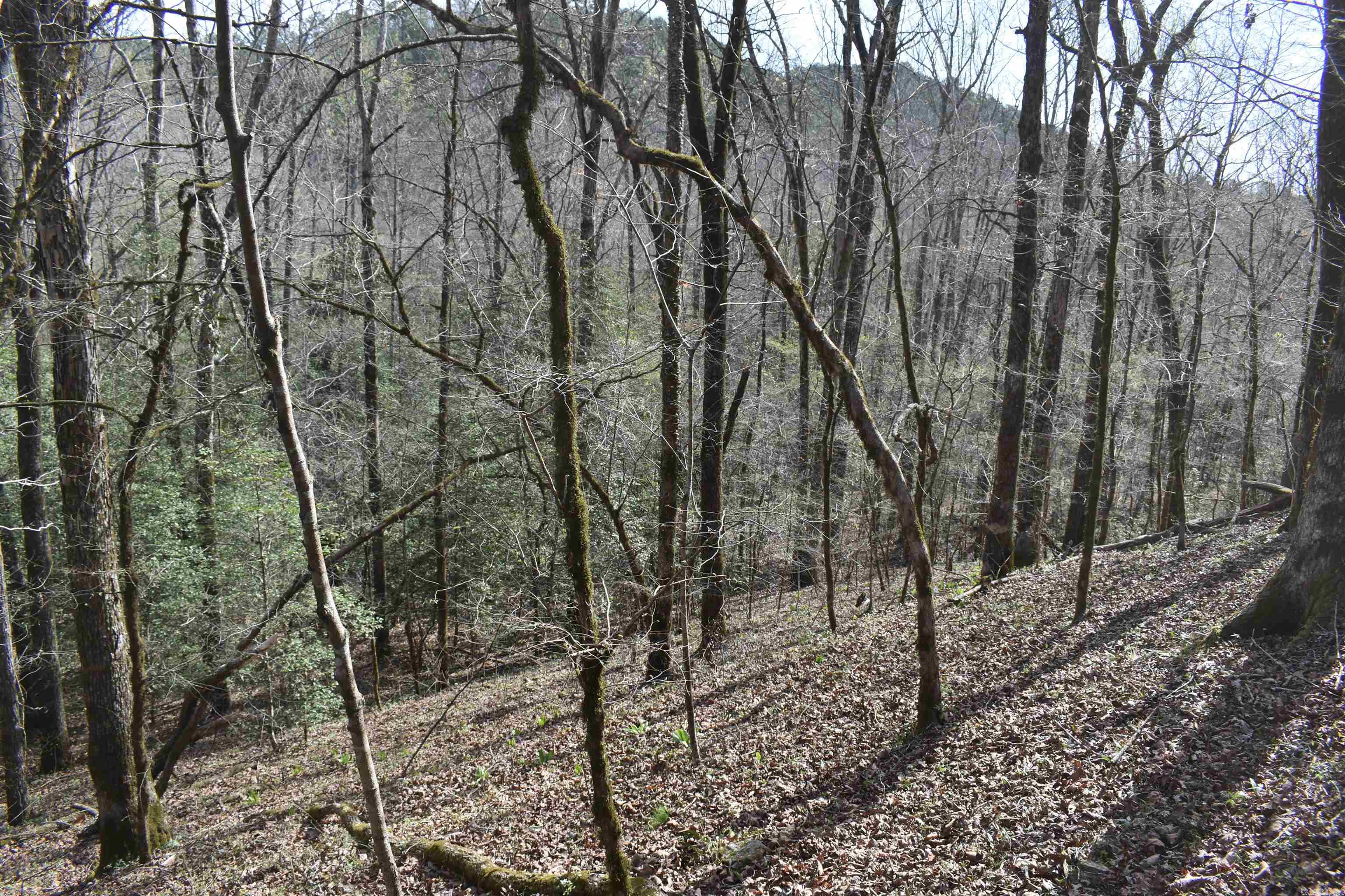 0000 Old Dallas Road Property Photo 8