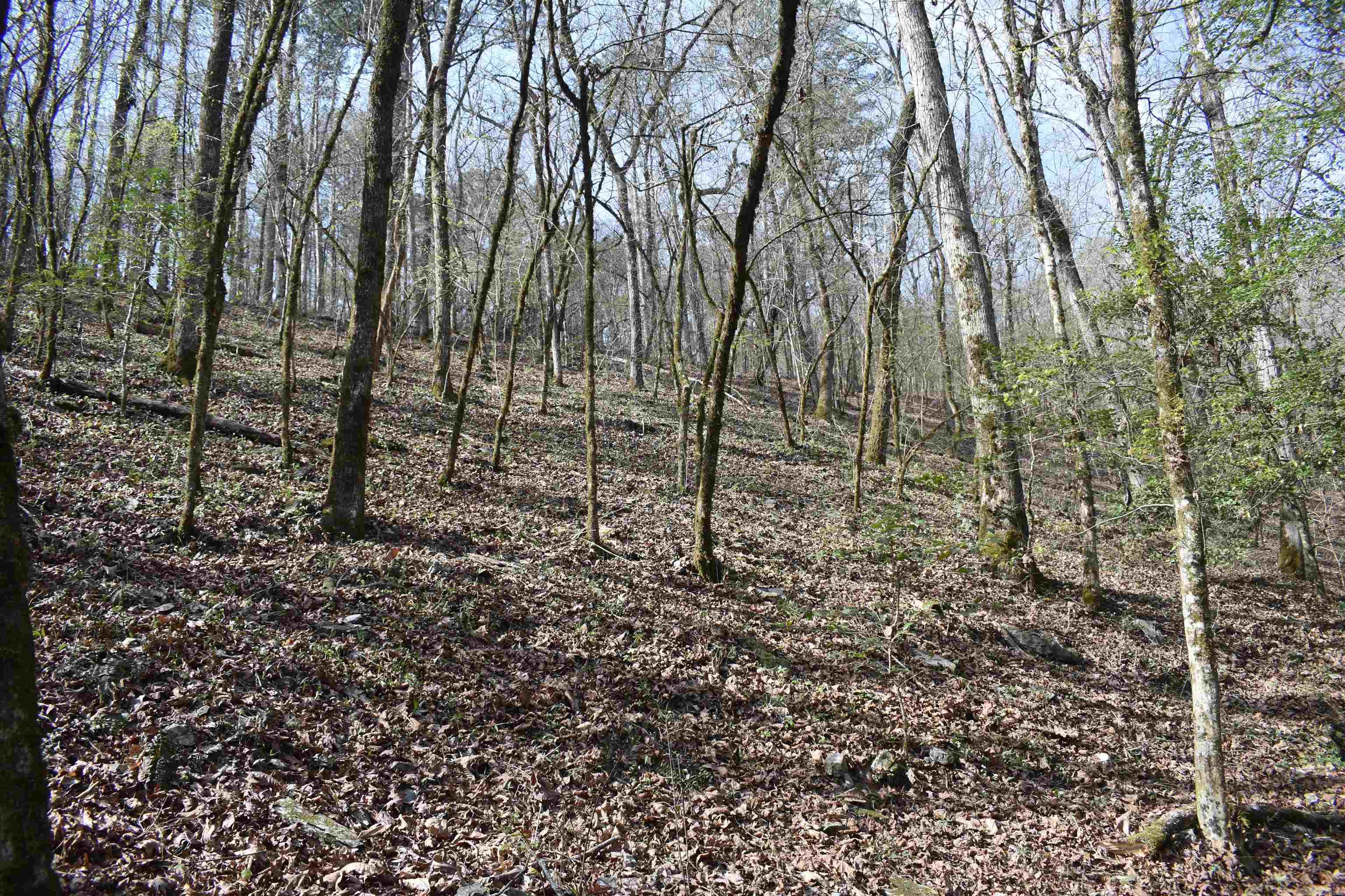 0000 Old Dallas Road Property Photo 9