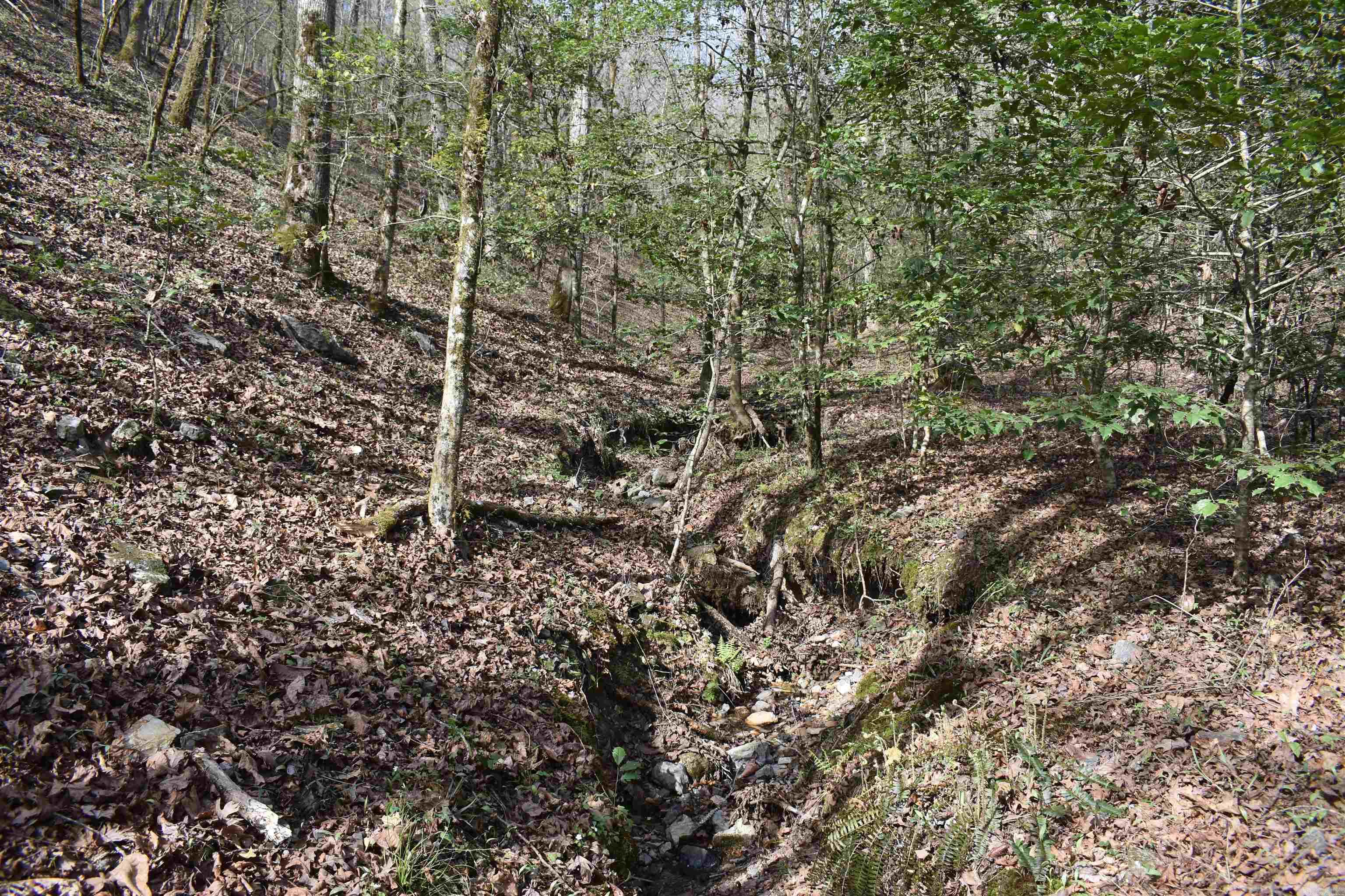 0000 Old Dallas Road Property Photo 10