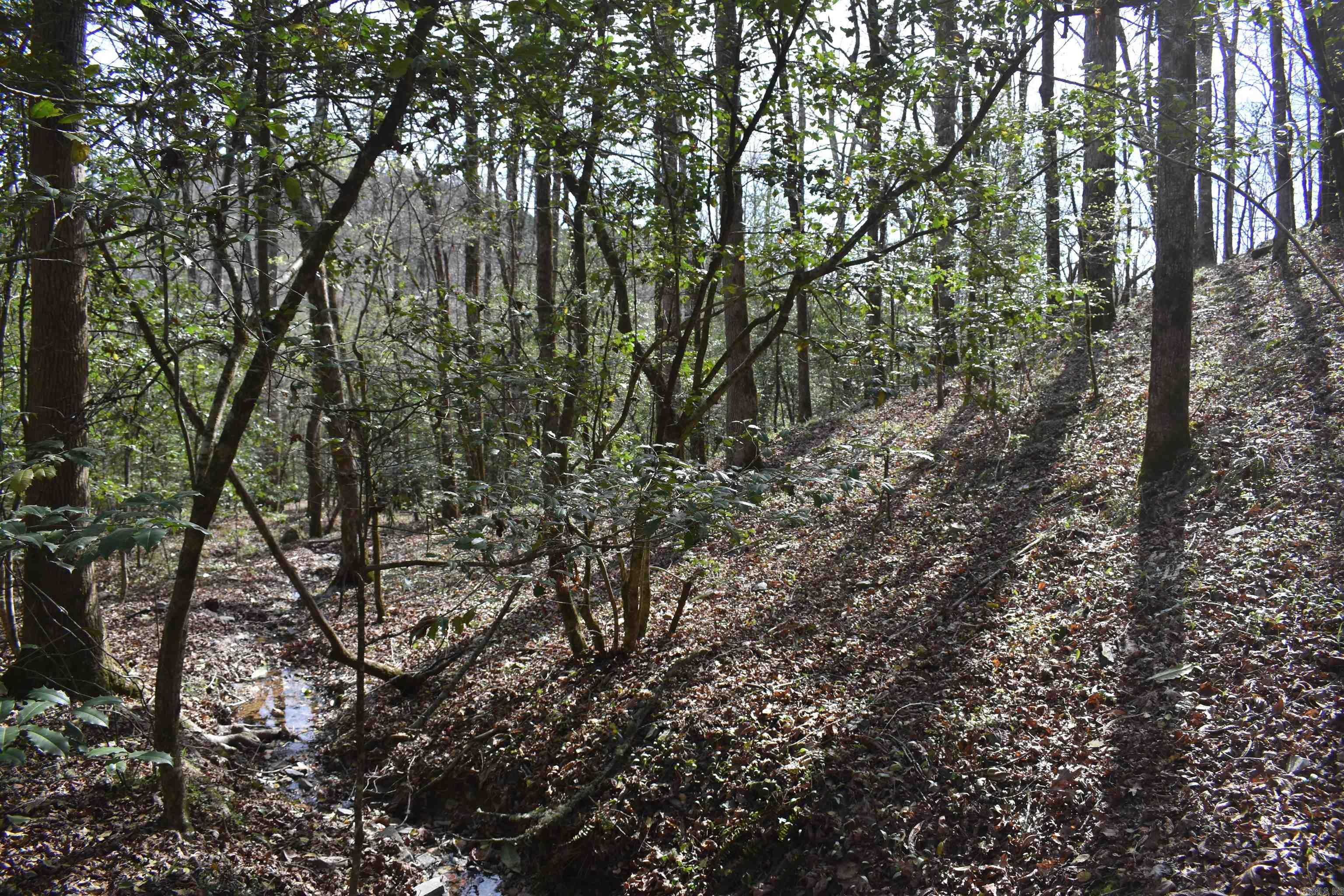 0000 Old Dallas Road Property Photo 11