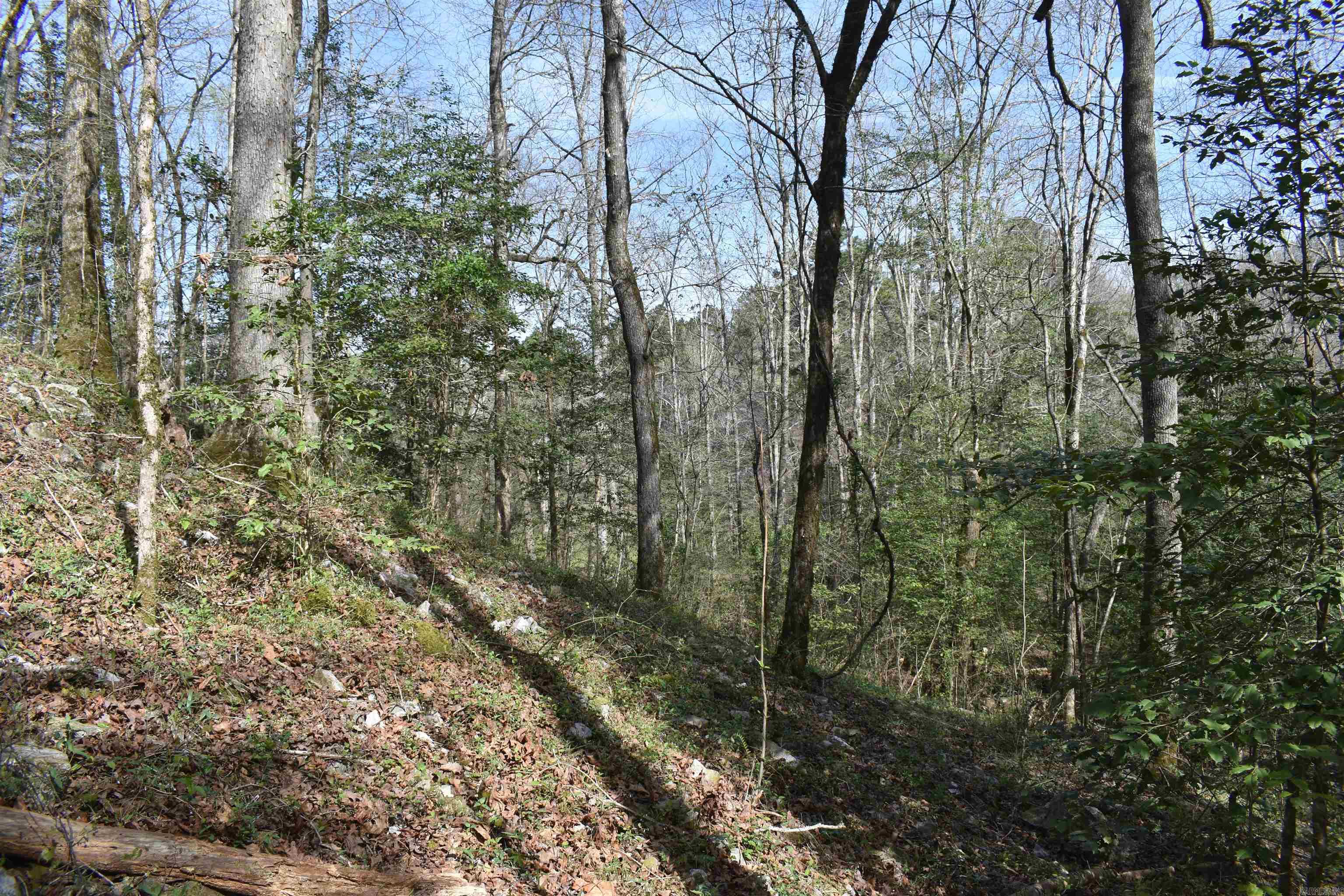 0000 Old Dallas Road Property Photo 14