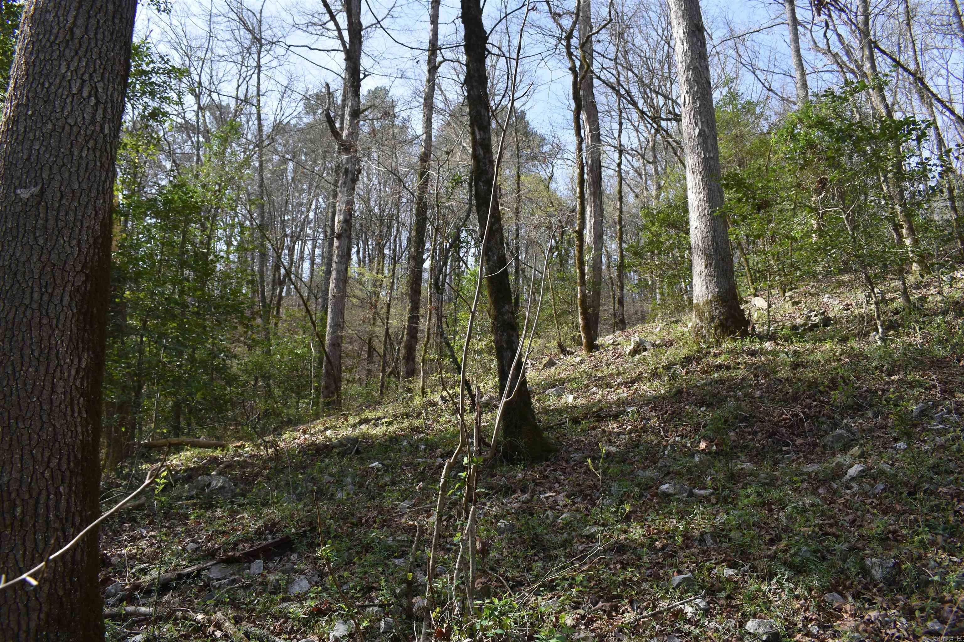 0000 Old Dallas Road Property Photo 15