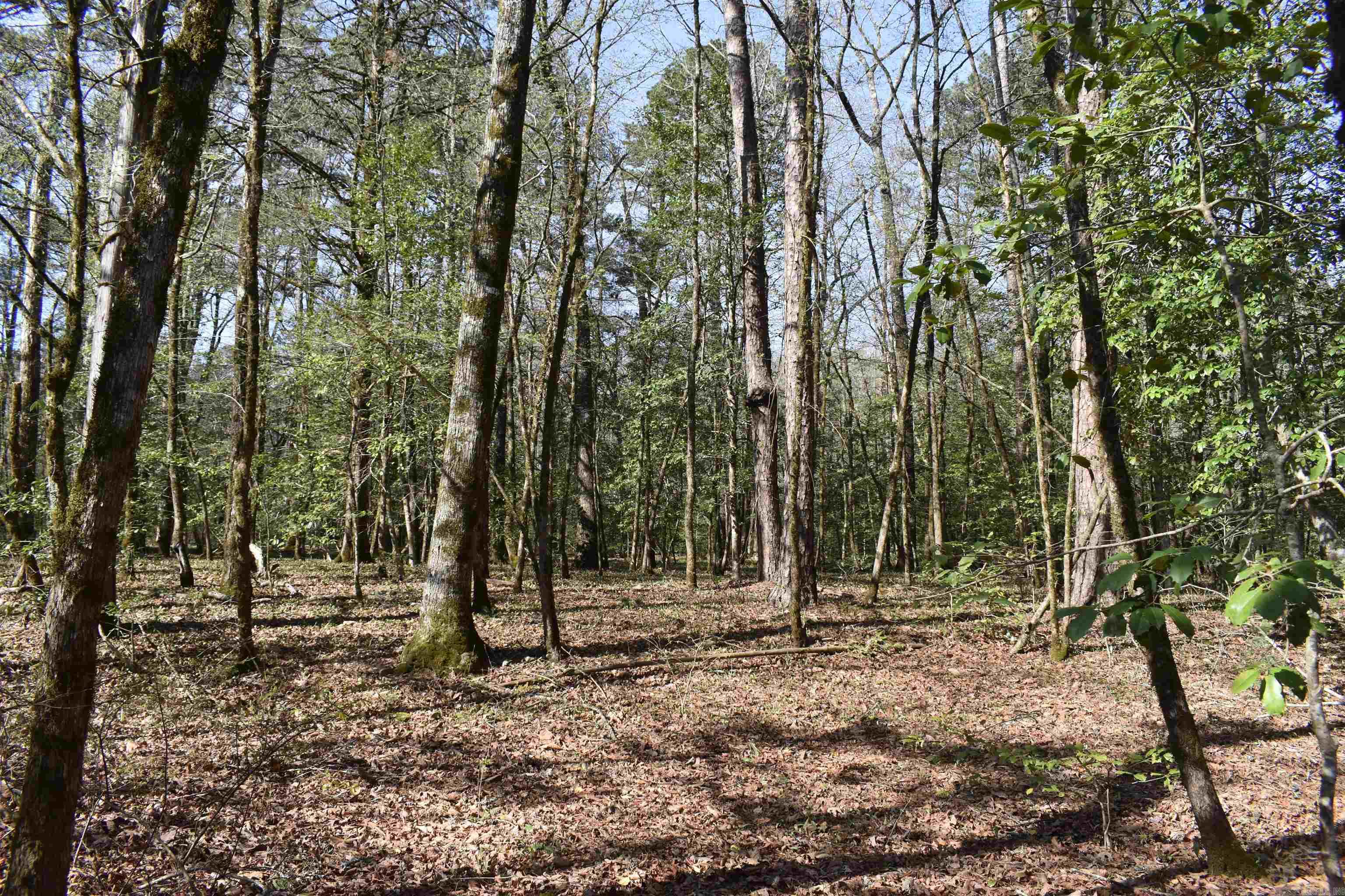 0000 Old Dallas Road Property Photo 29
