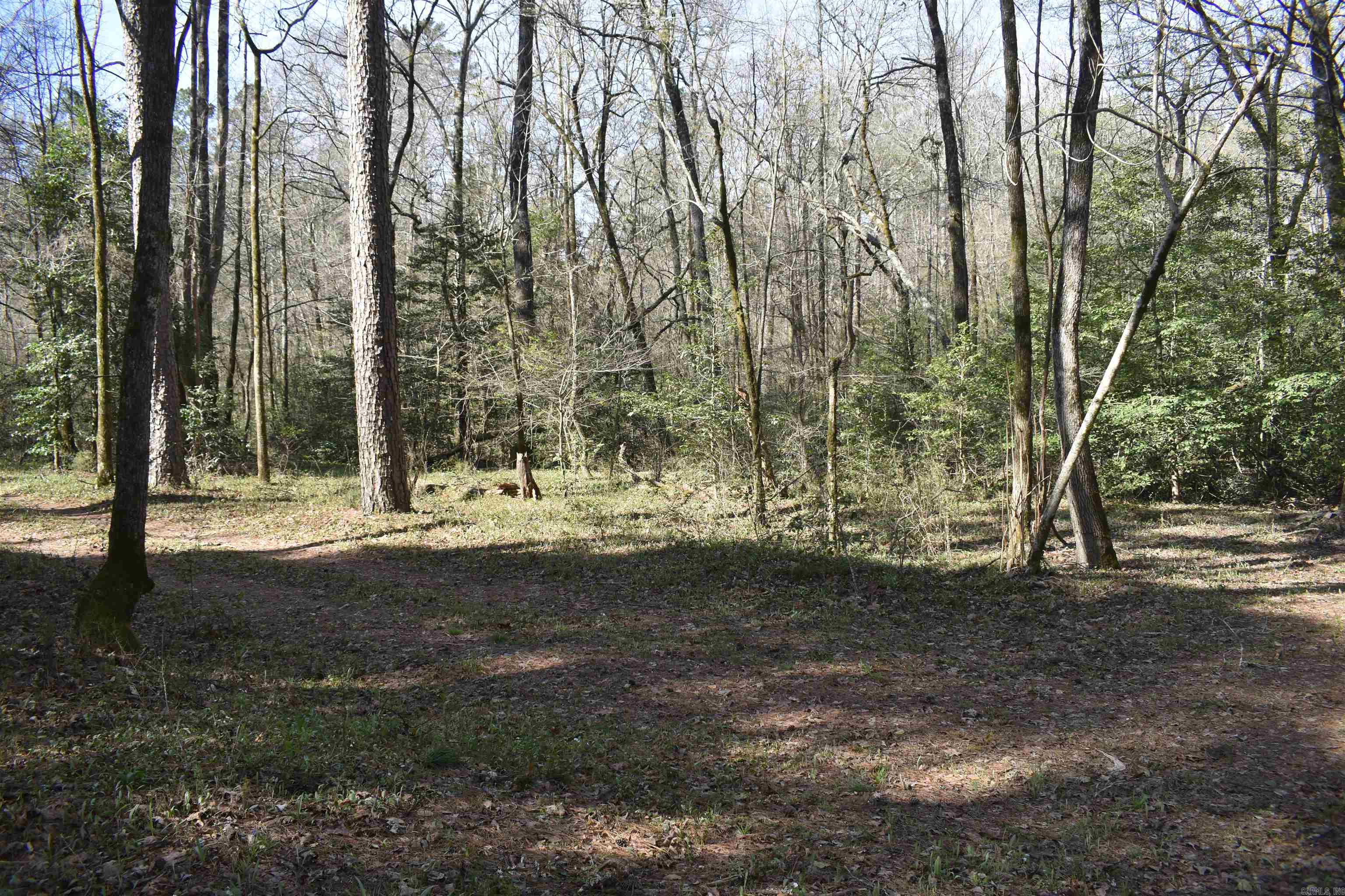 0000 Old Dallas Road Property Photo 32