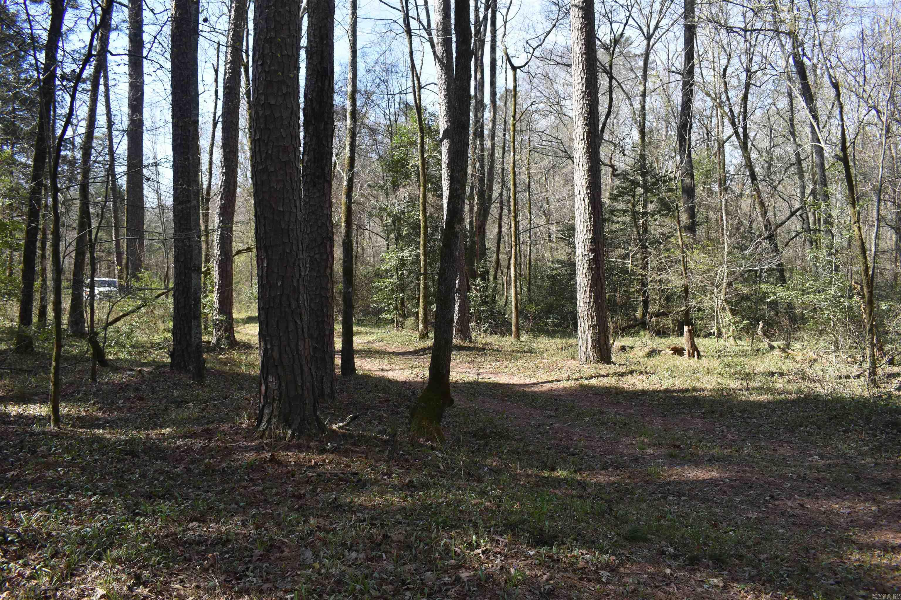 0000 Old Dallas Road Property Photo 33