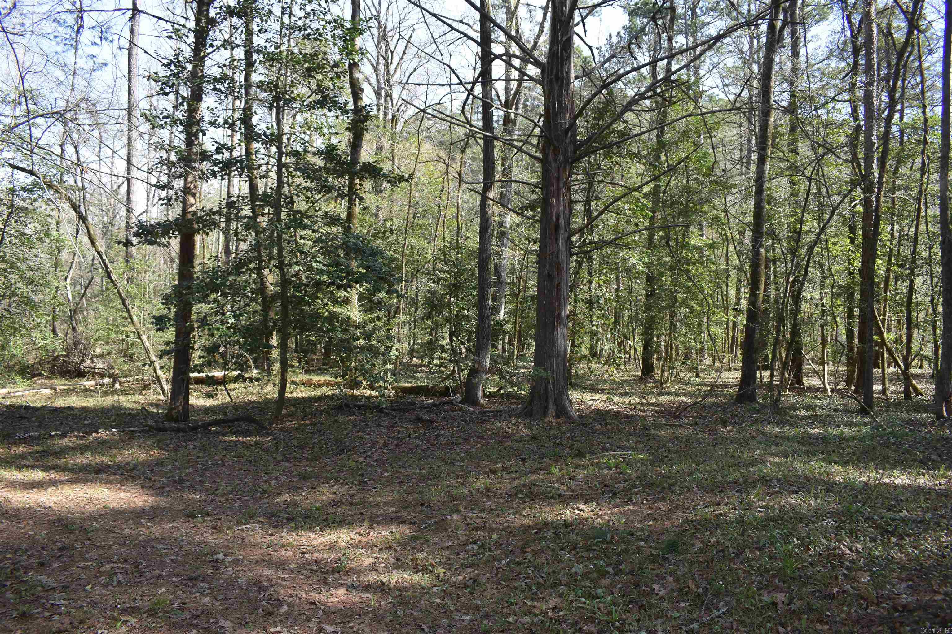 0000 Old Dallas Road Property Photo 34