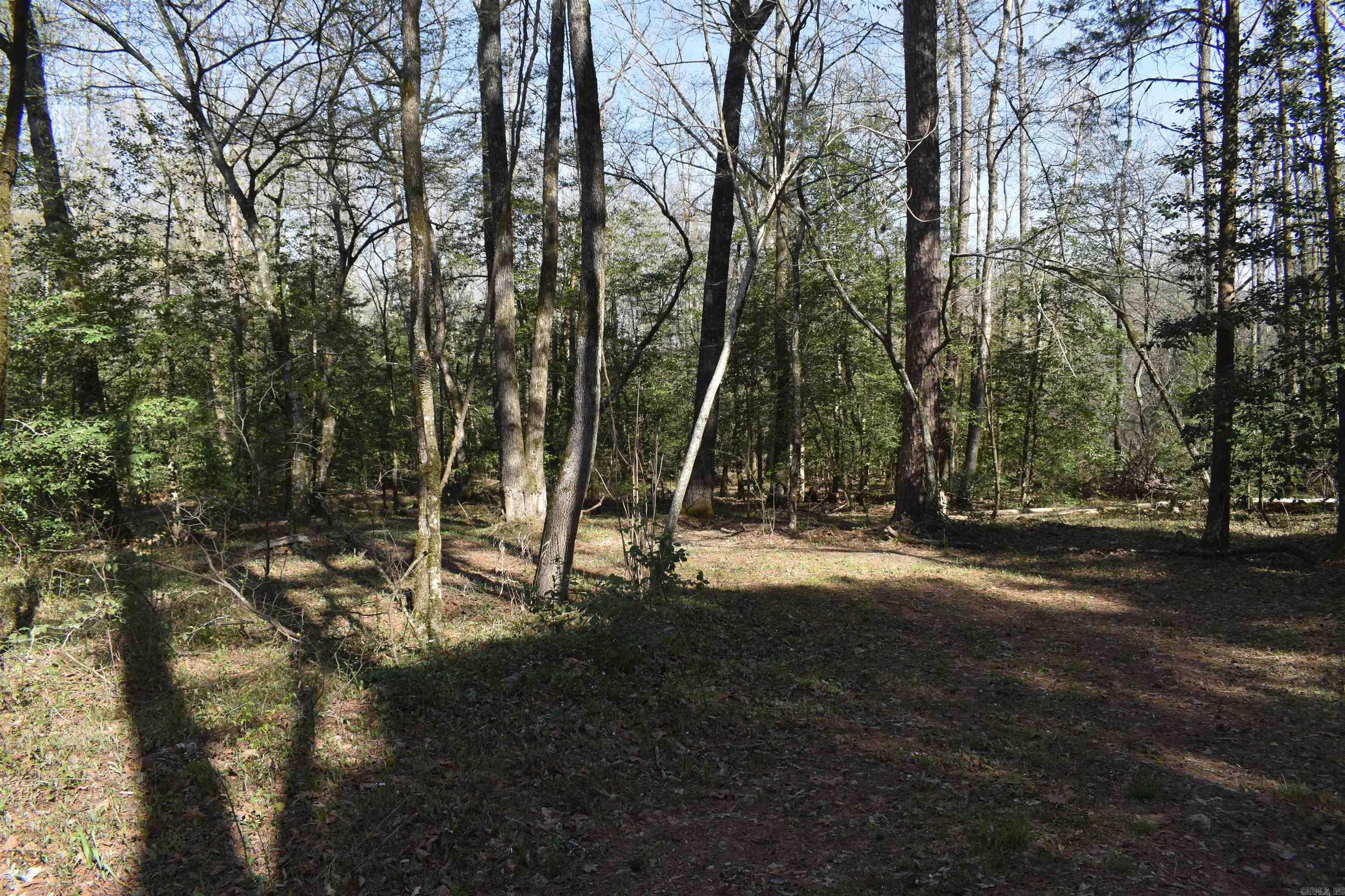 0000 Old Dallas Road Property Photo 35
