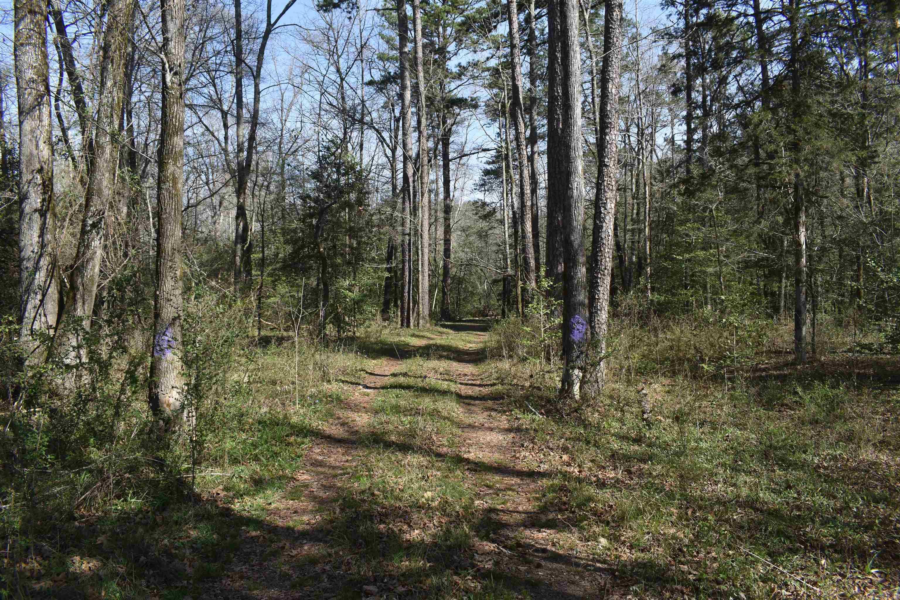0000 Old Dallas Road Property Photo 37