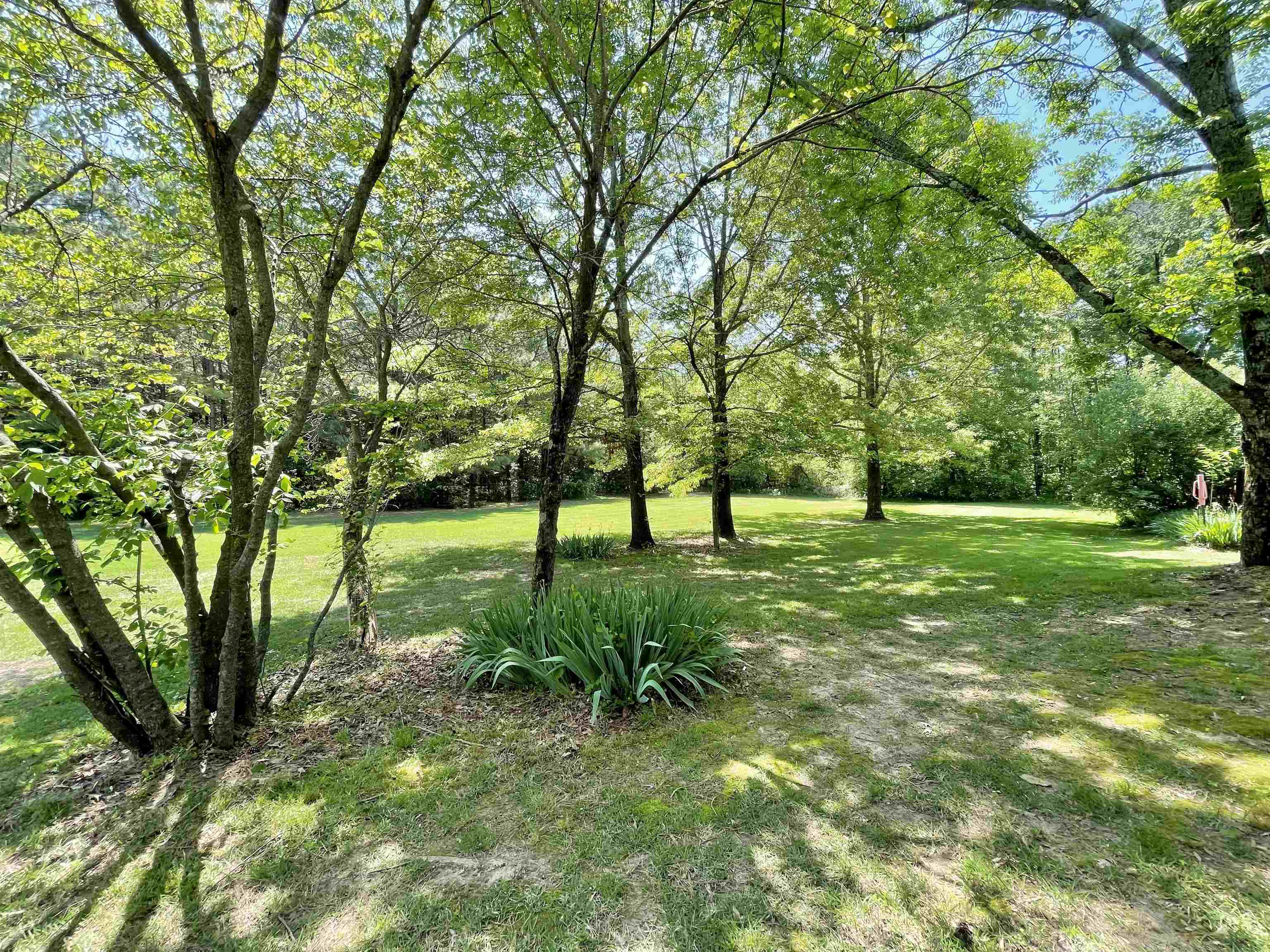 157 N Spring Street Property Photo 46