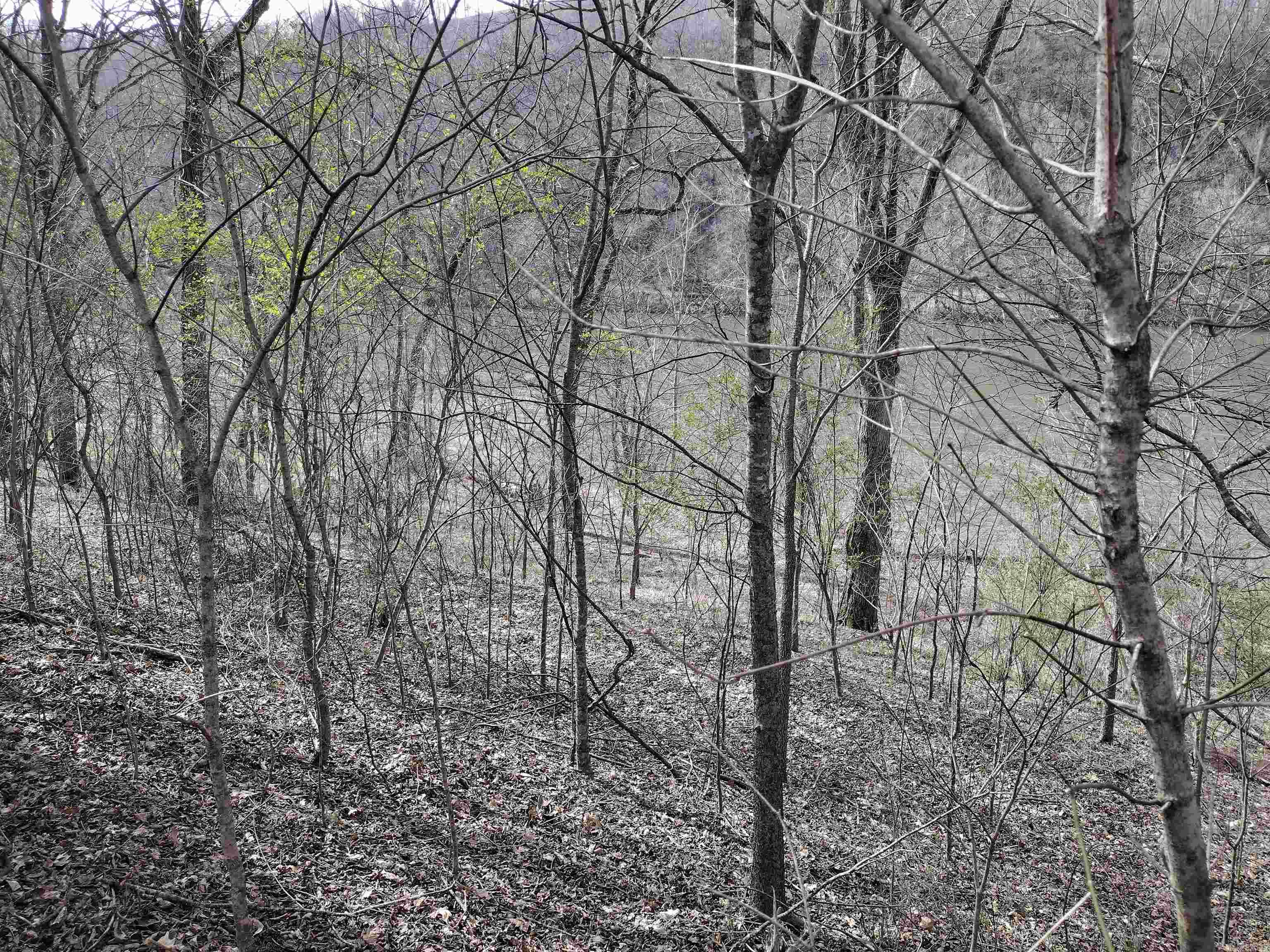 000 South Riverview Property Photo 8