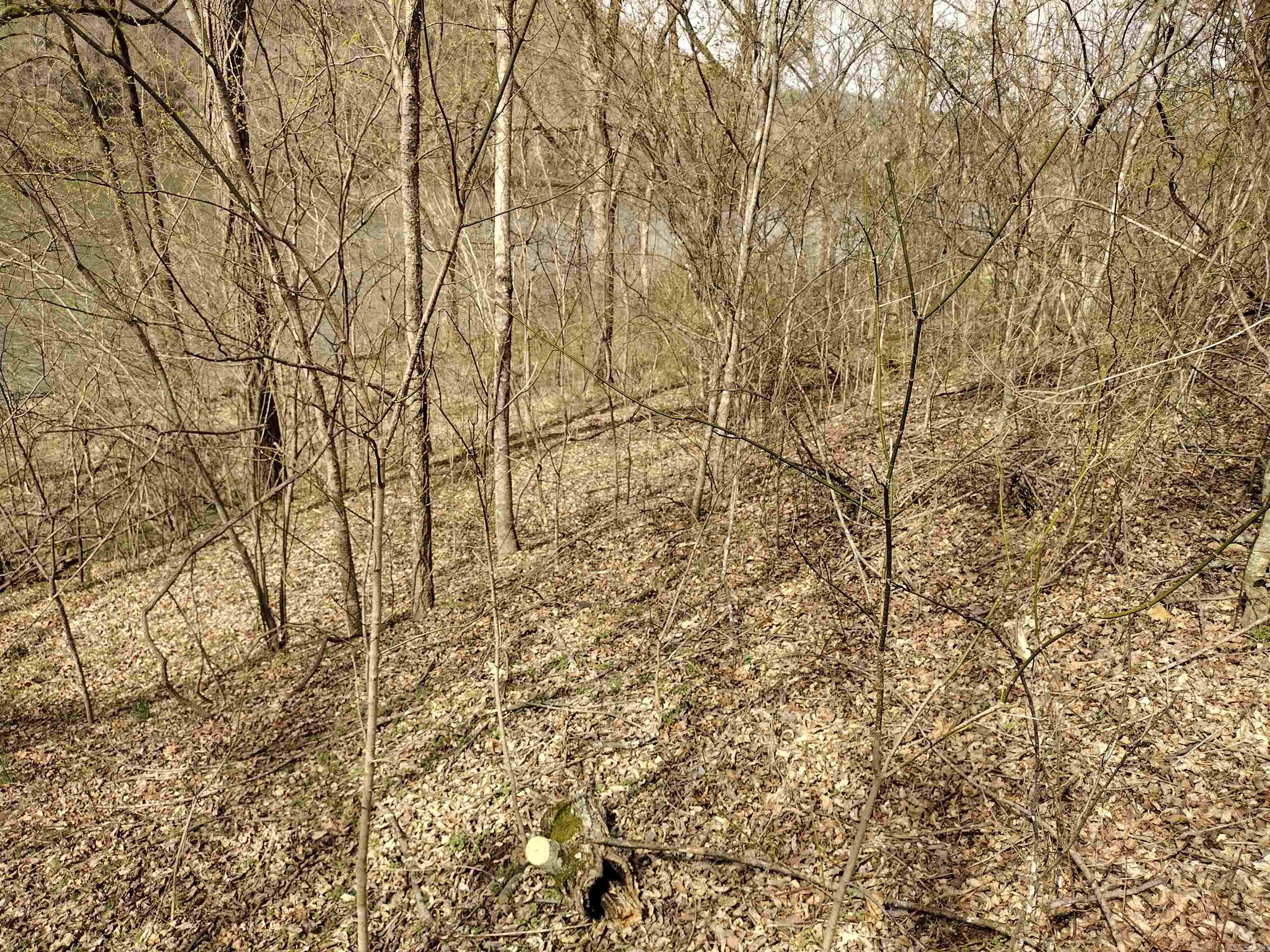 000 South Riverview Property Photo 9