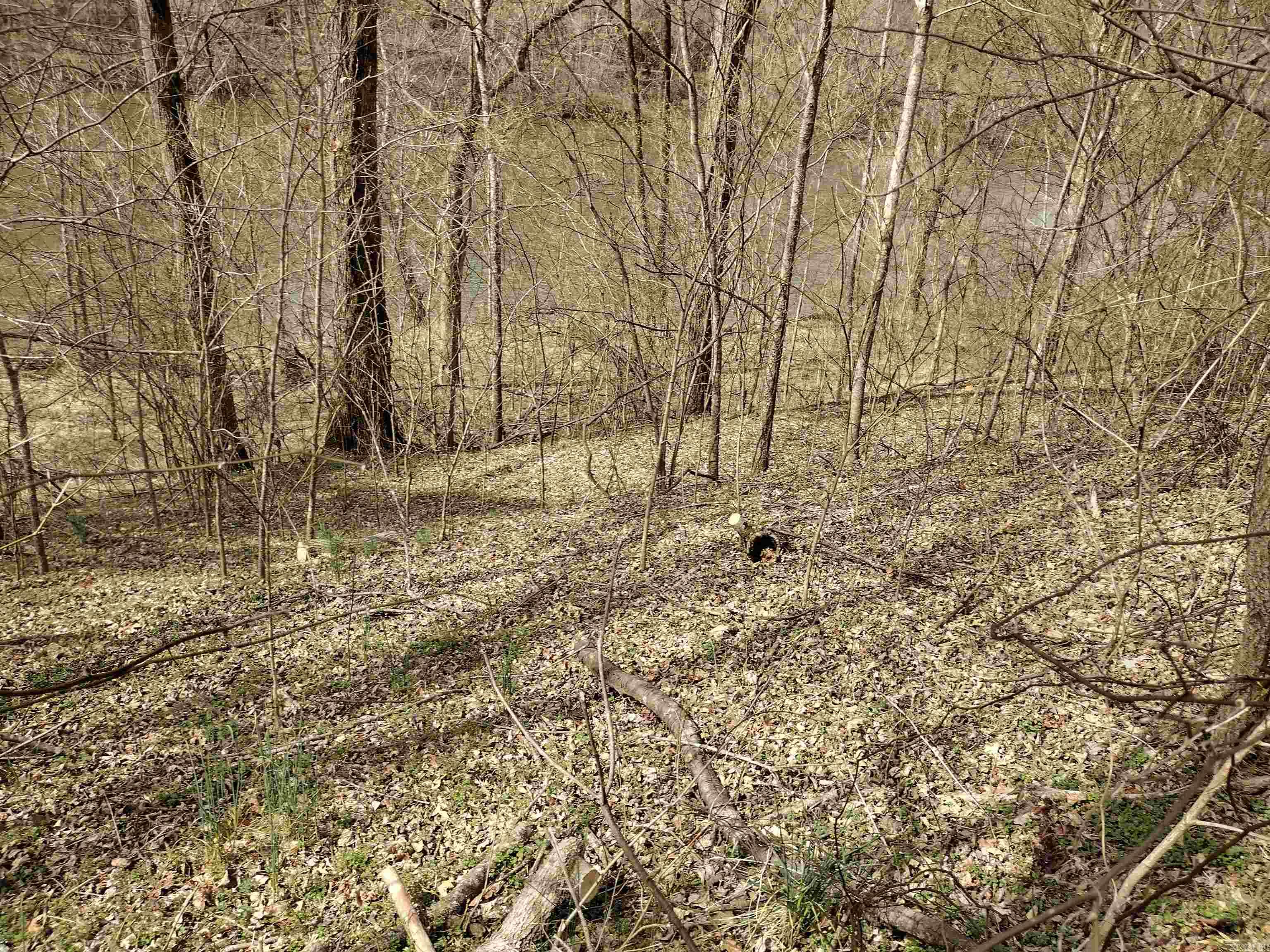 000 South Riverview Property Photo 10
