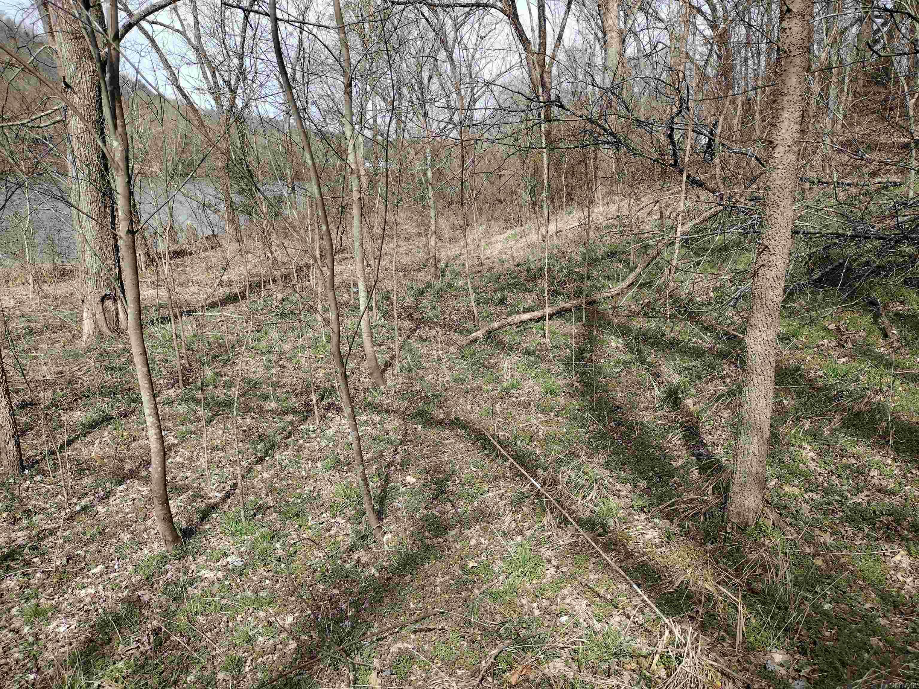 000 South Riverview Property Photo 11
