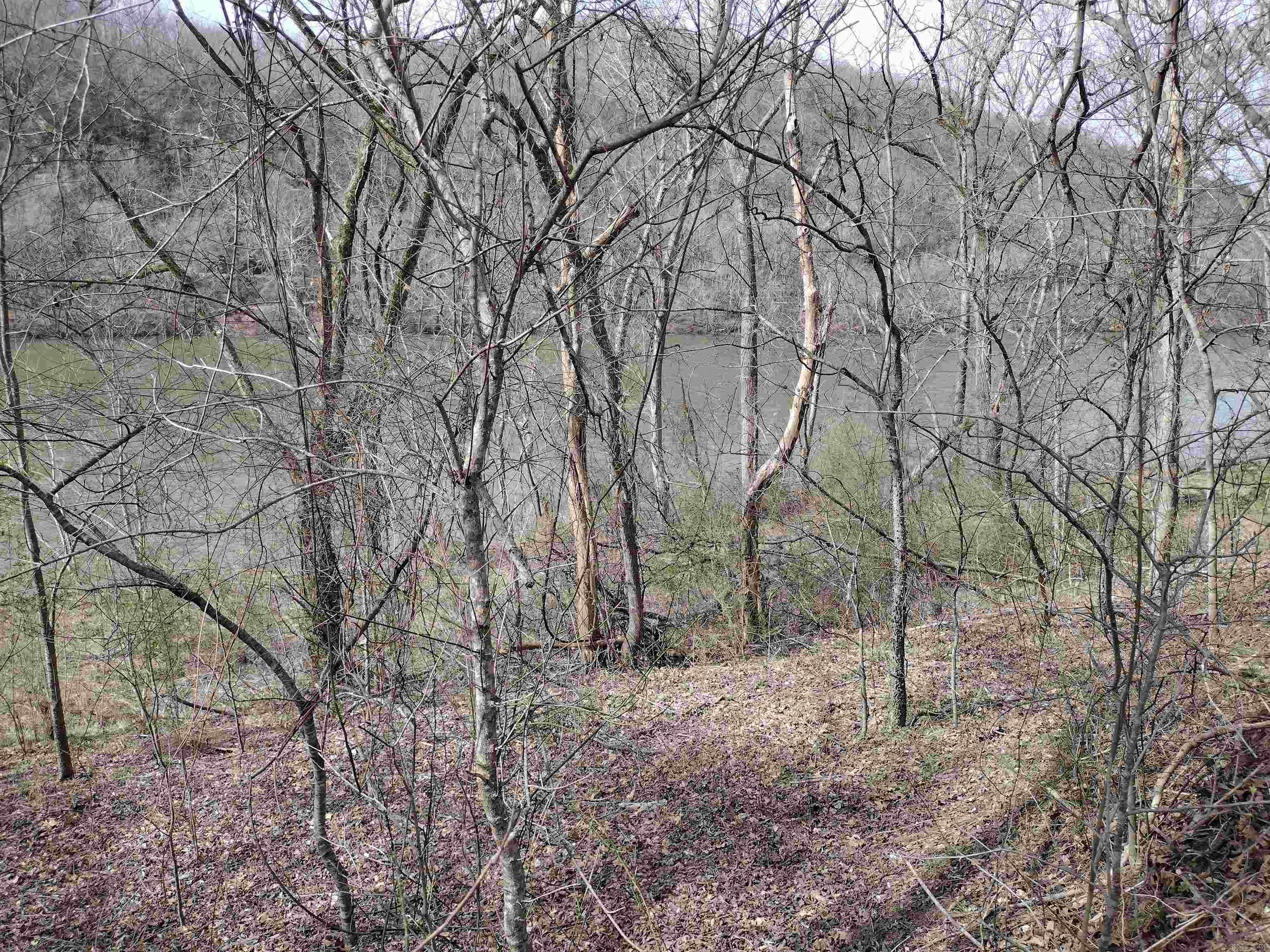 000 South Riverview Property Photo 13