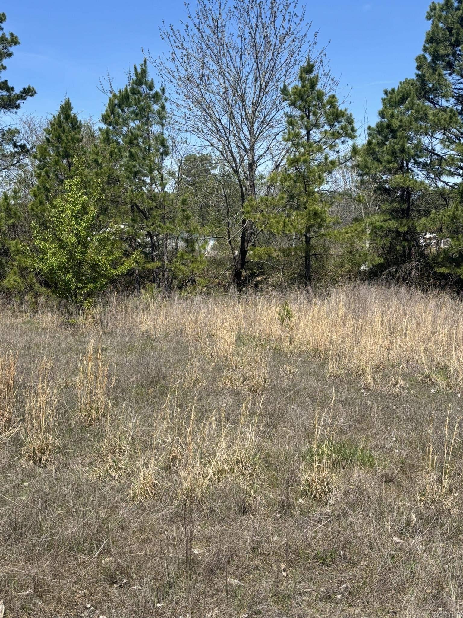 3120 S Highway 65 Property Photo 26