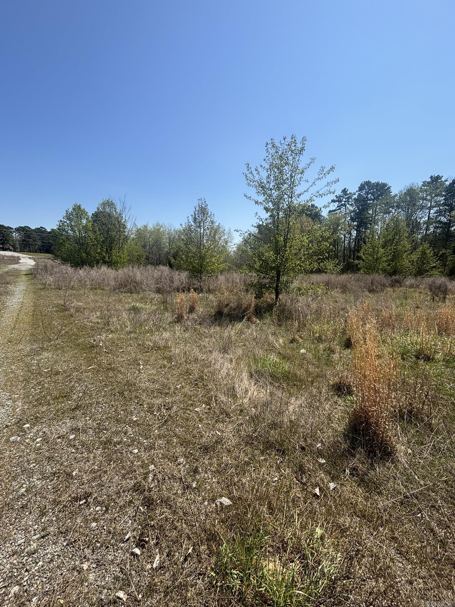 3120 S Highway 65 Property Photo 30