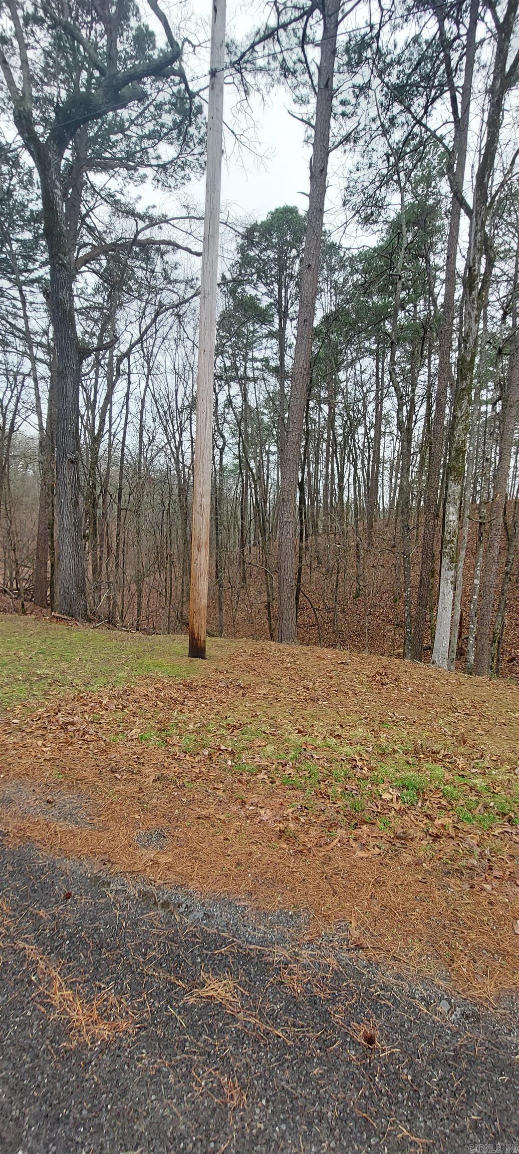 337 Arlington Drive Property Photo 2