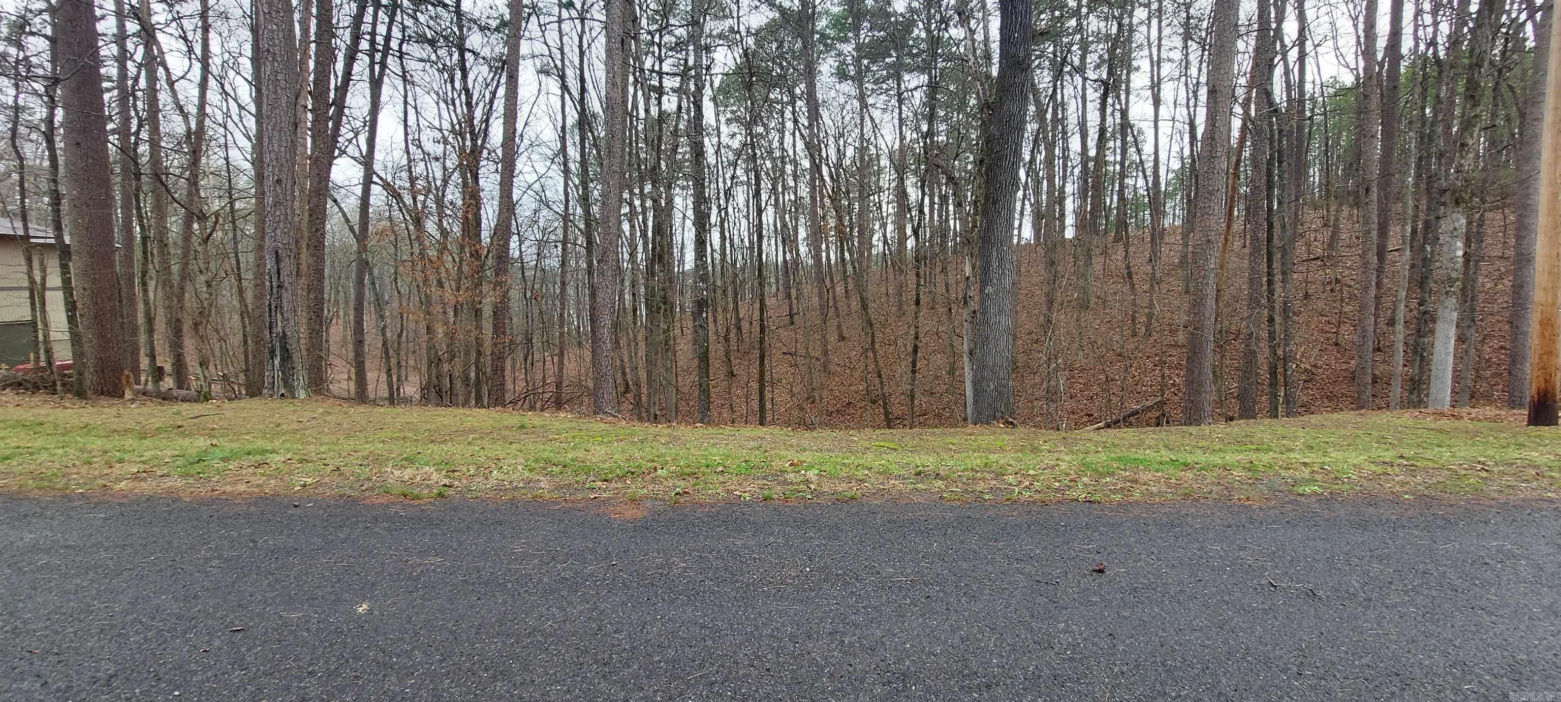 337 Arlington Drive Property Photo 4