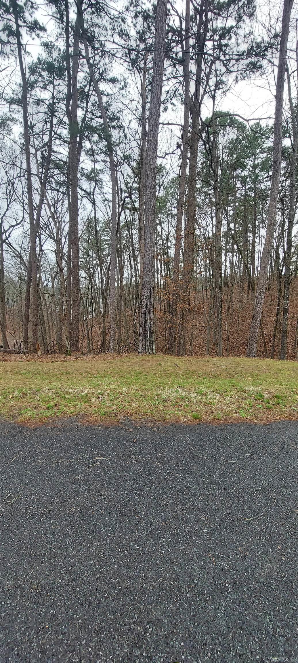 337 Arlington Drive Property Photo 5