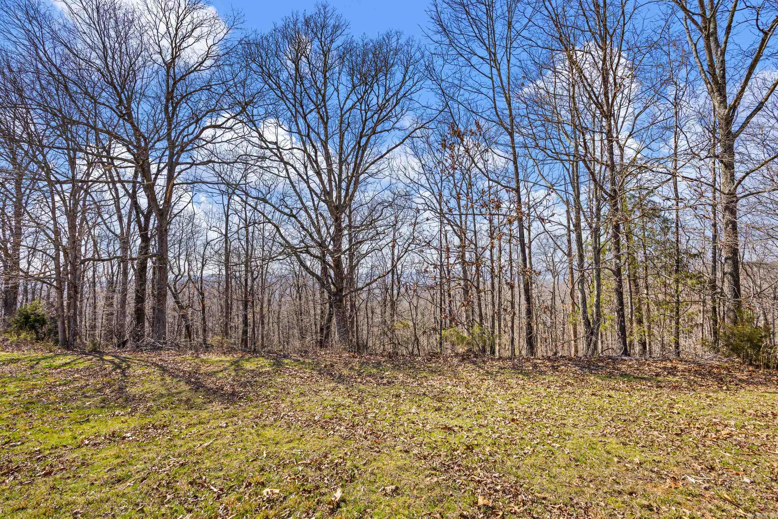 5228 Dabney Road Property Photo 37
