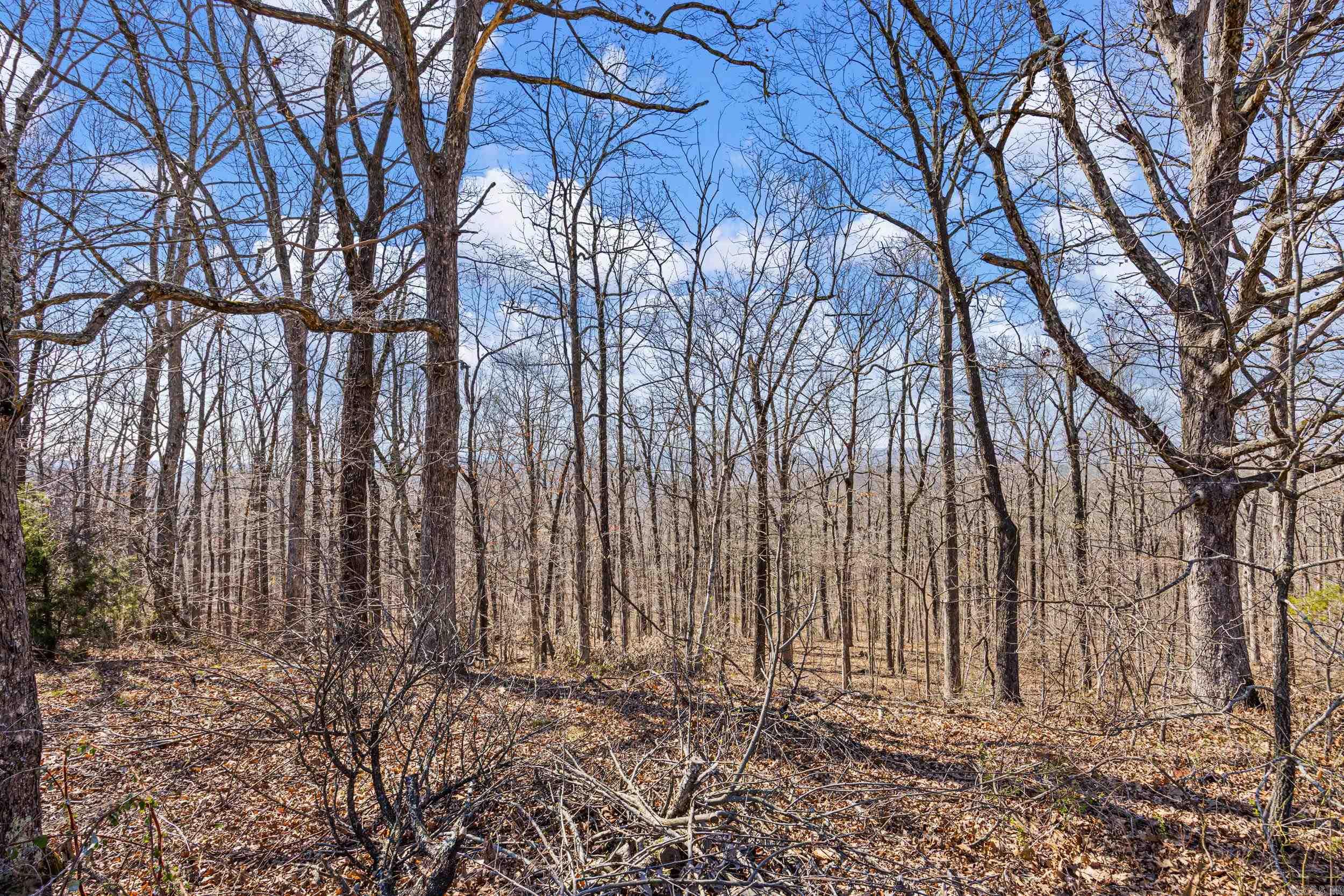 5228 Dabney Road Property Photo 38