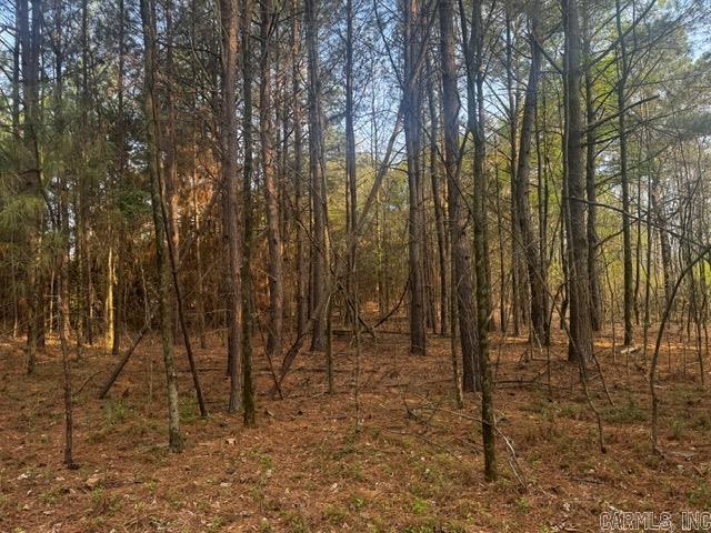 2110 Hoelscher Lane Property Photo 5