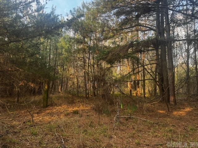 2110 Hoelscher Lane Property Photo 7