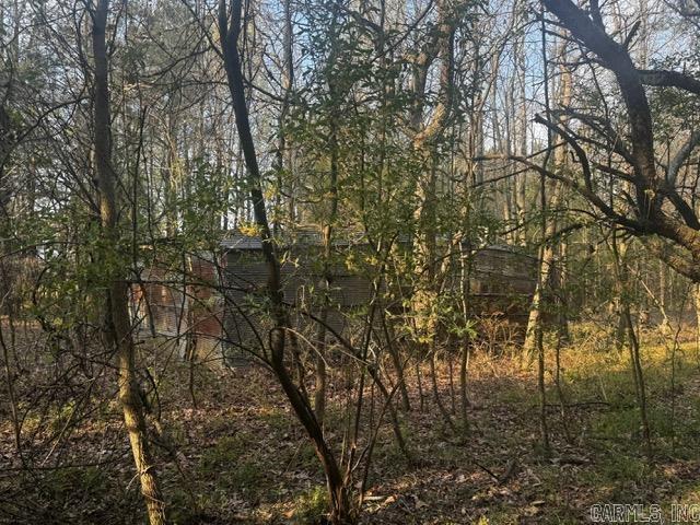 2110 Hoelscher Lane Property Photo 8