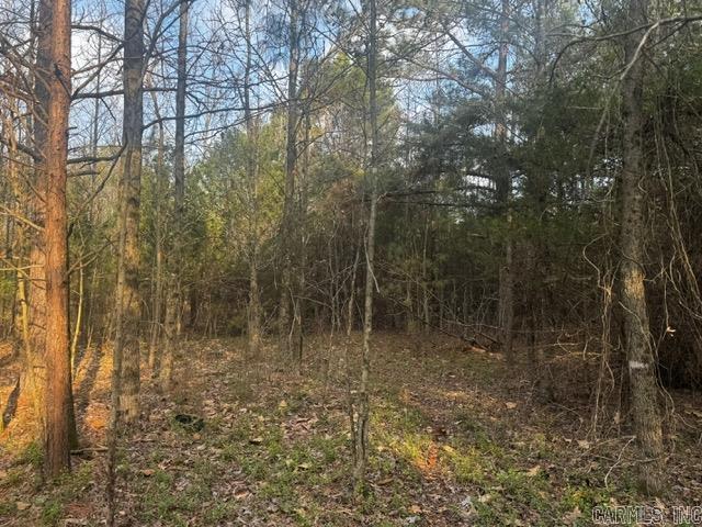 2110 Hoelscher Lane Property Photo 9