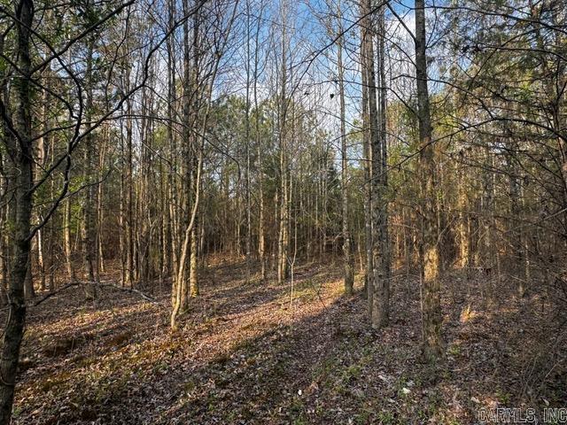 2110 Hoelscher Lane Property Photo 12