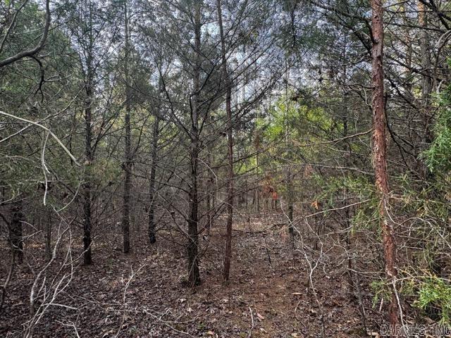 2110 Hoelscher Lane Property Photo 13
