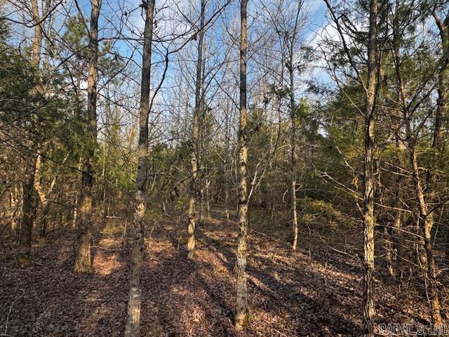 2110 Hoelscher Lane Property Photo 15