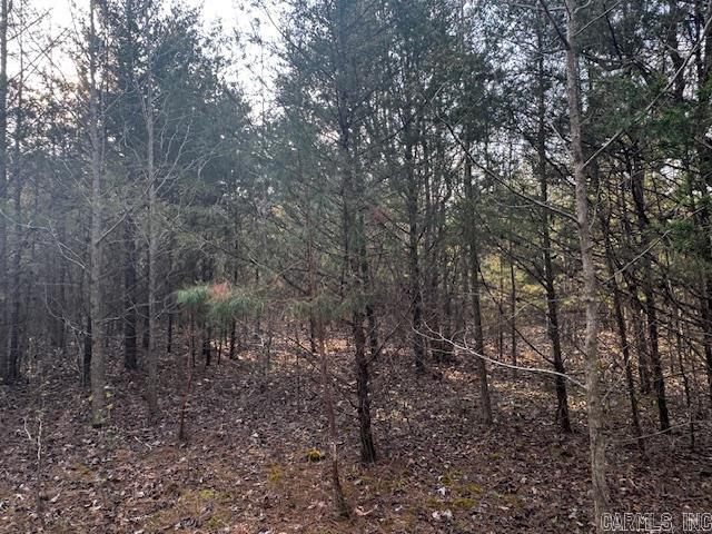 2110 Hoelscher Lane Property Photo 16