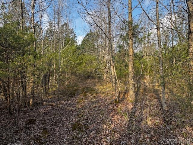 2110 Hoelscher Lane Property Photo 17