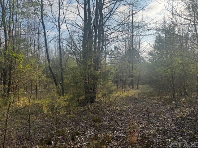2110 Hoelscher Lane Property Photo 18